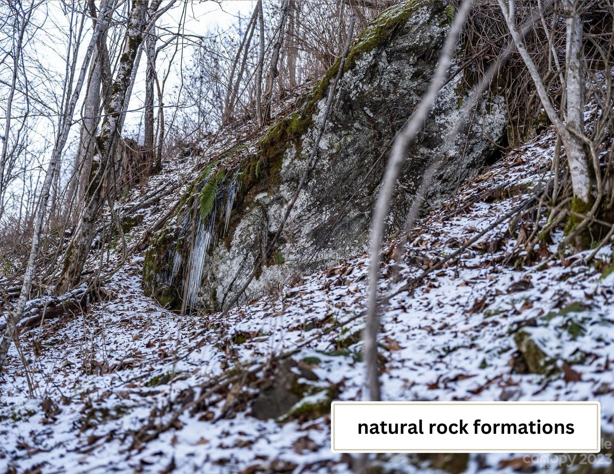 SMOKY MOUNTAIN SANCTUARY - Land