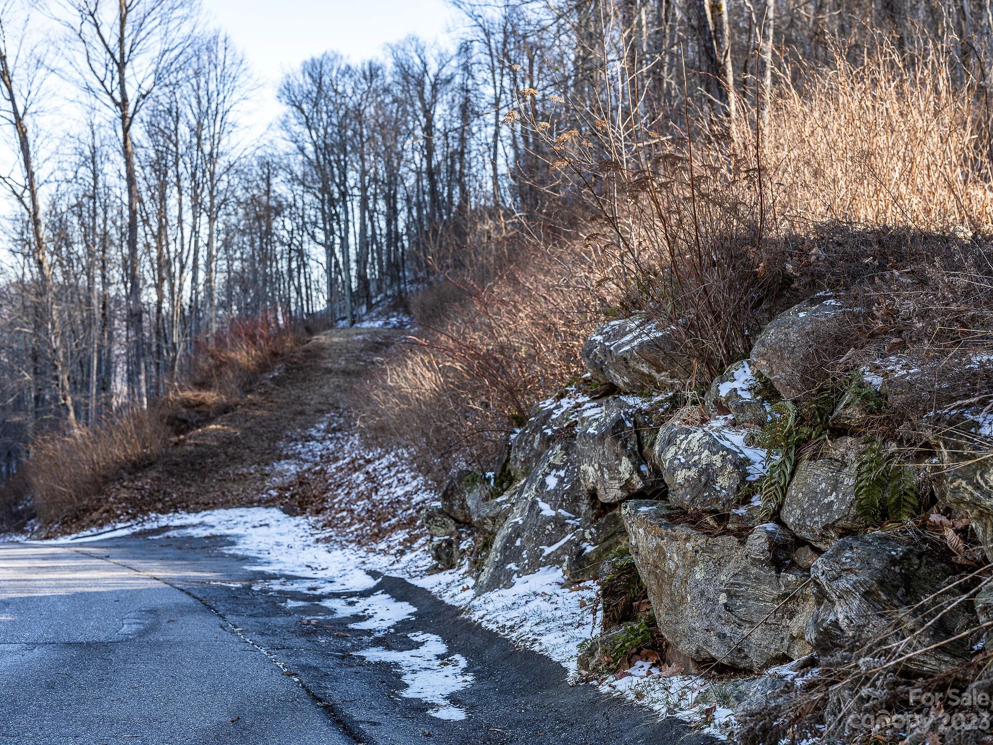 SMOKY MOUNTAIN SANCTUARY - Land