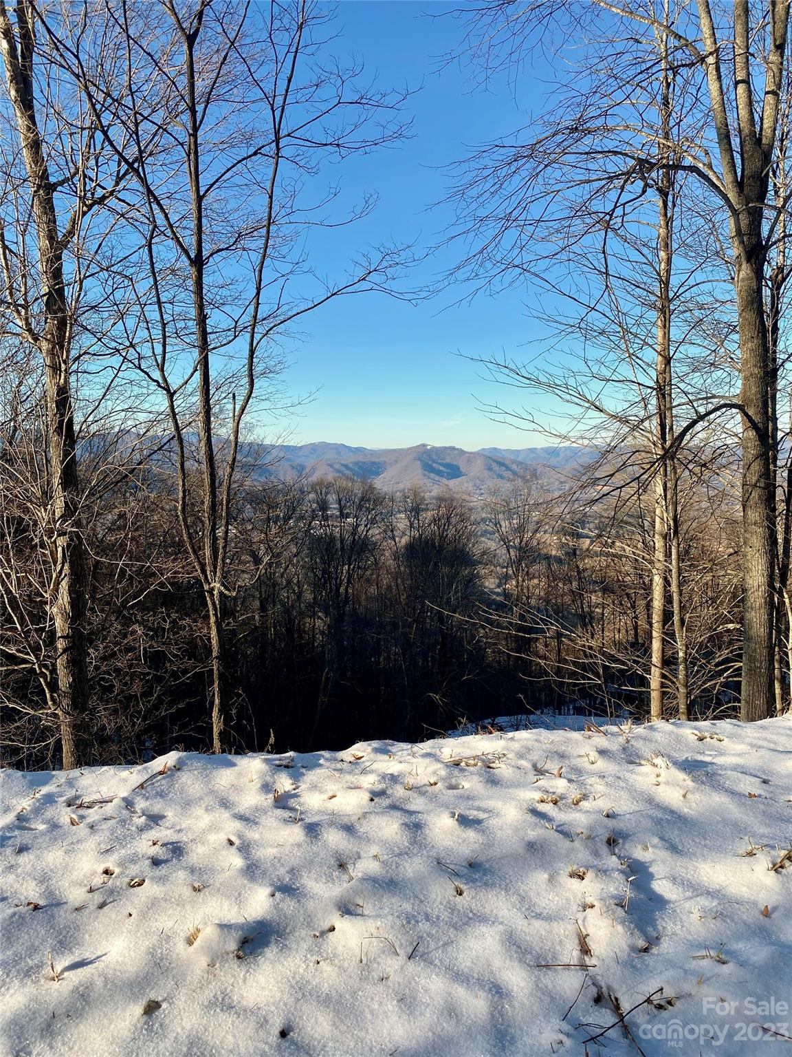 SMOKY MOUNTAIN SANCTUARY - Land