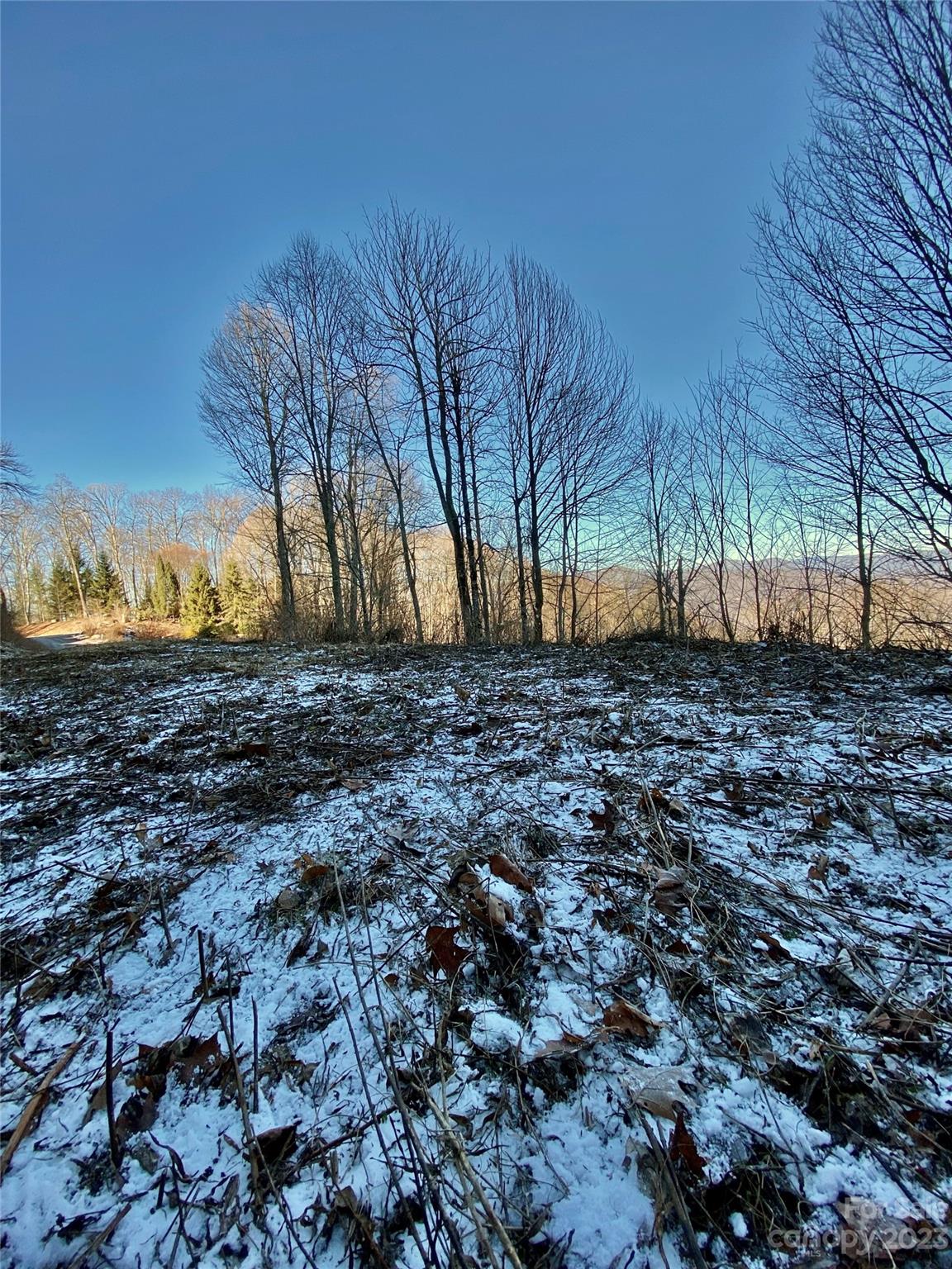 SMOKY MOUNTAIN SANCTUARY - Land