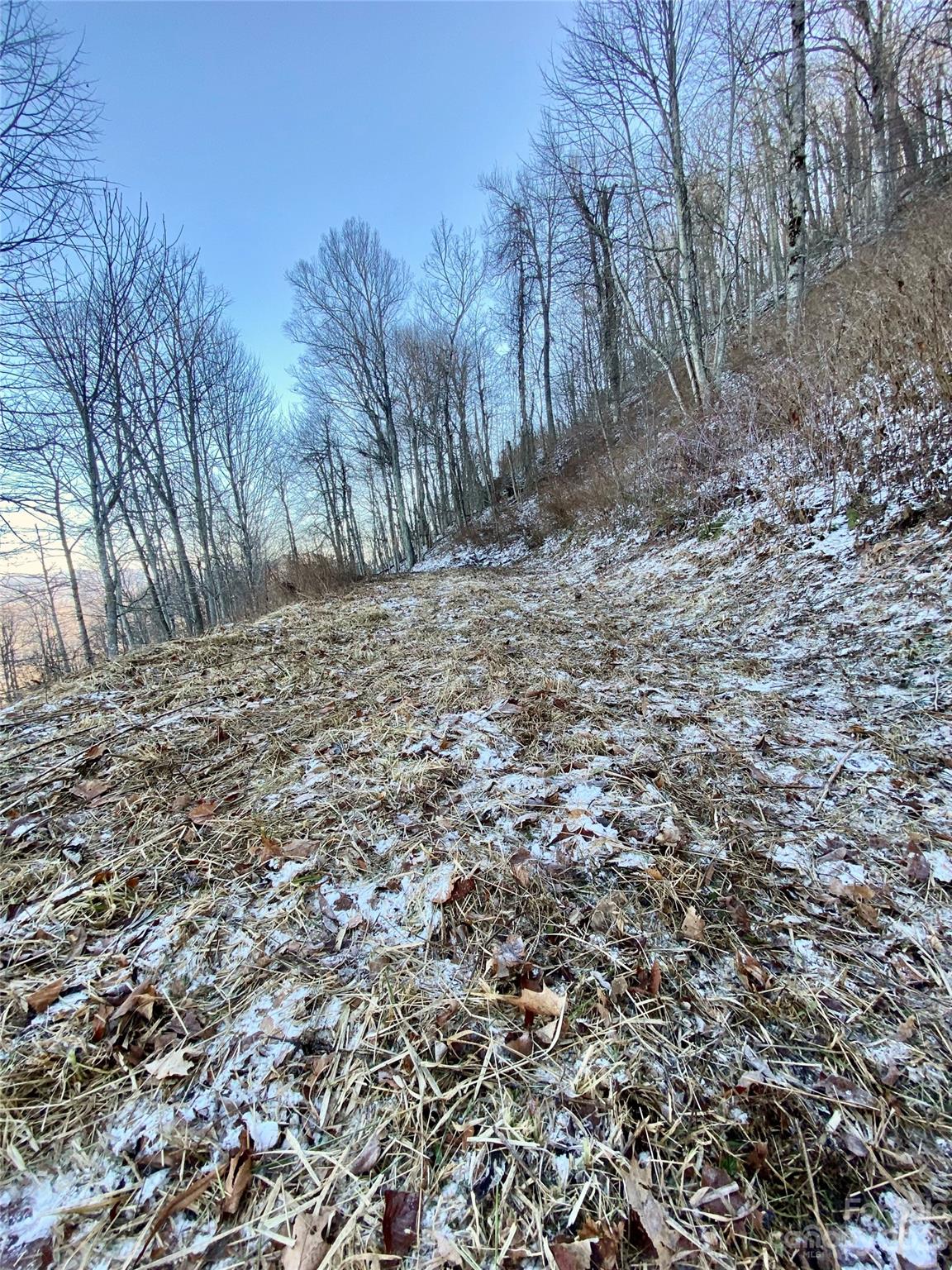 SMOKY MOUNTAIN SANCTUARY - Land