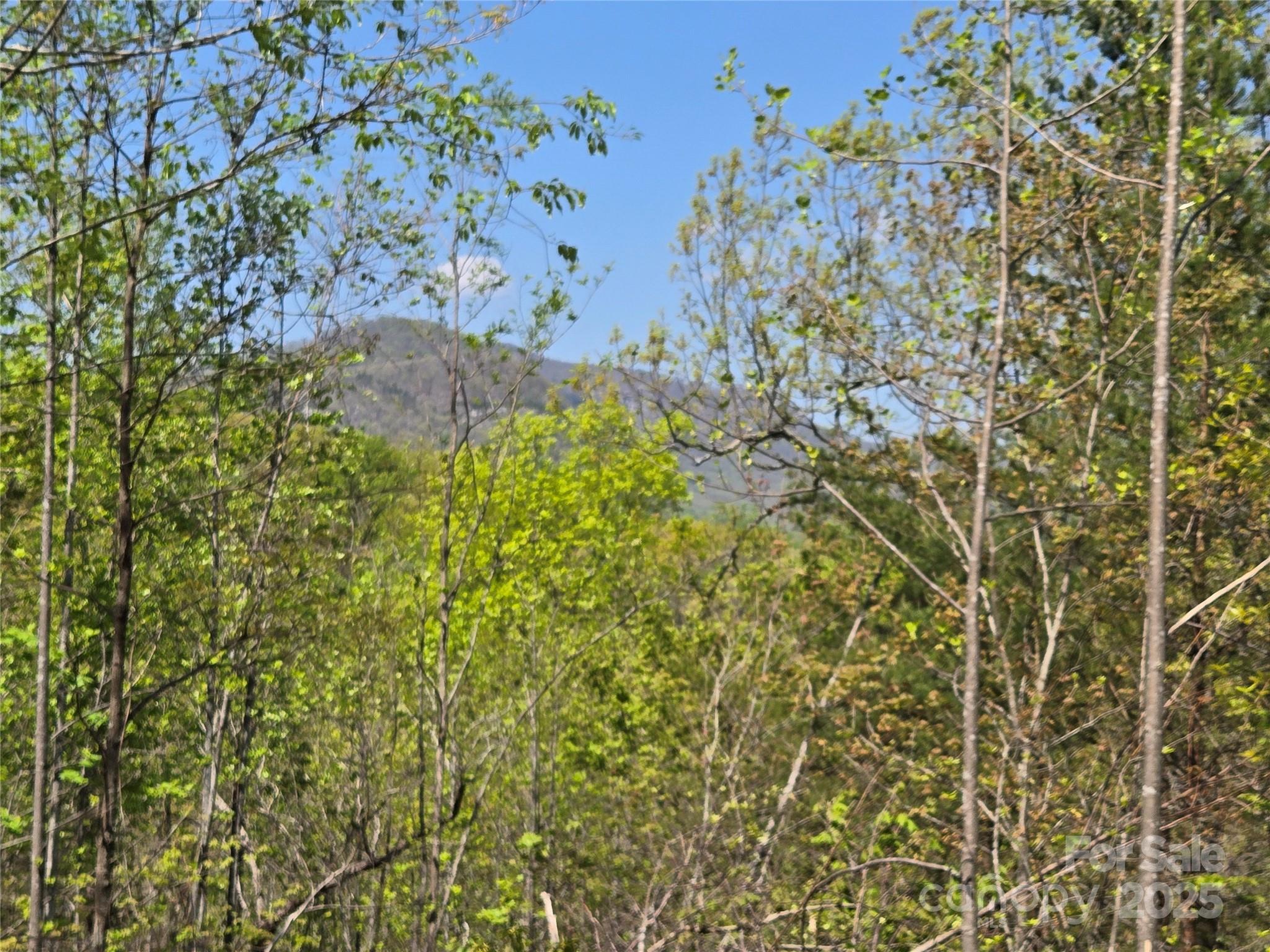 Lot 35 High Rock Ridge