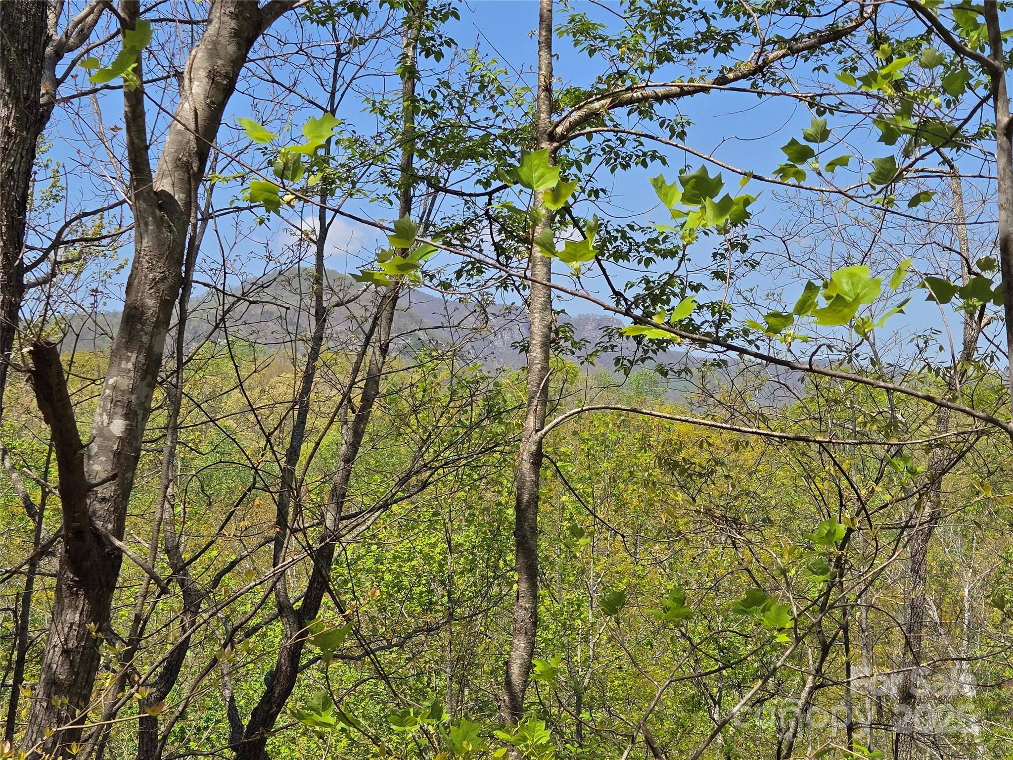 Rumbling Bald on Lake Lure - Land