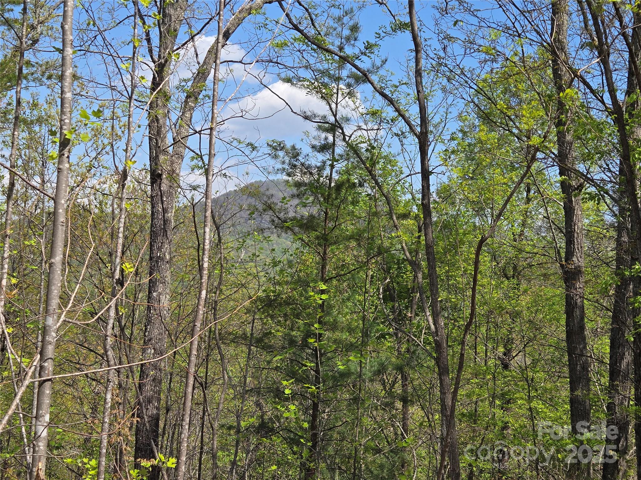 Rumbling Bald on Lake Lure - Land