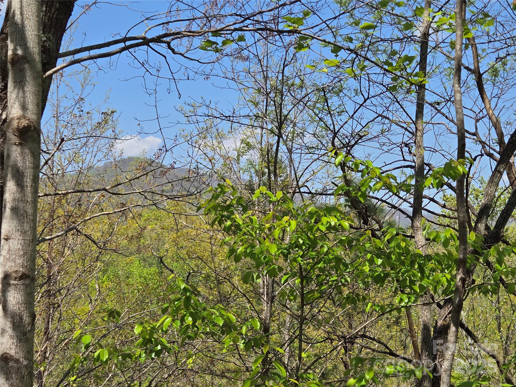 Lot 35 High Rock Ridge