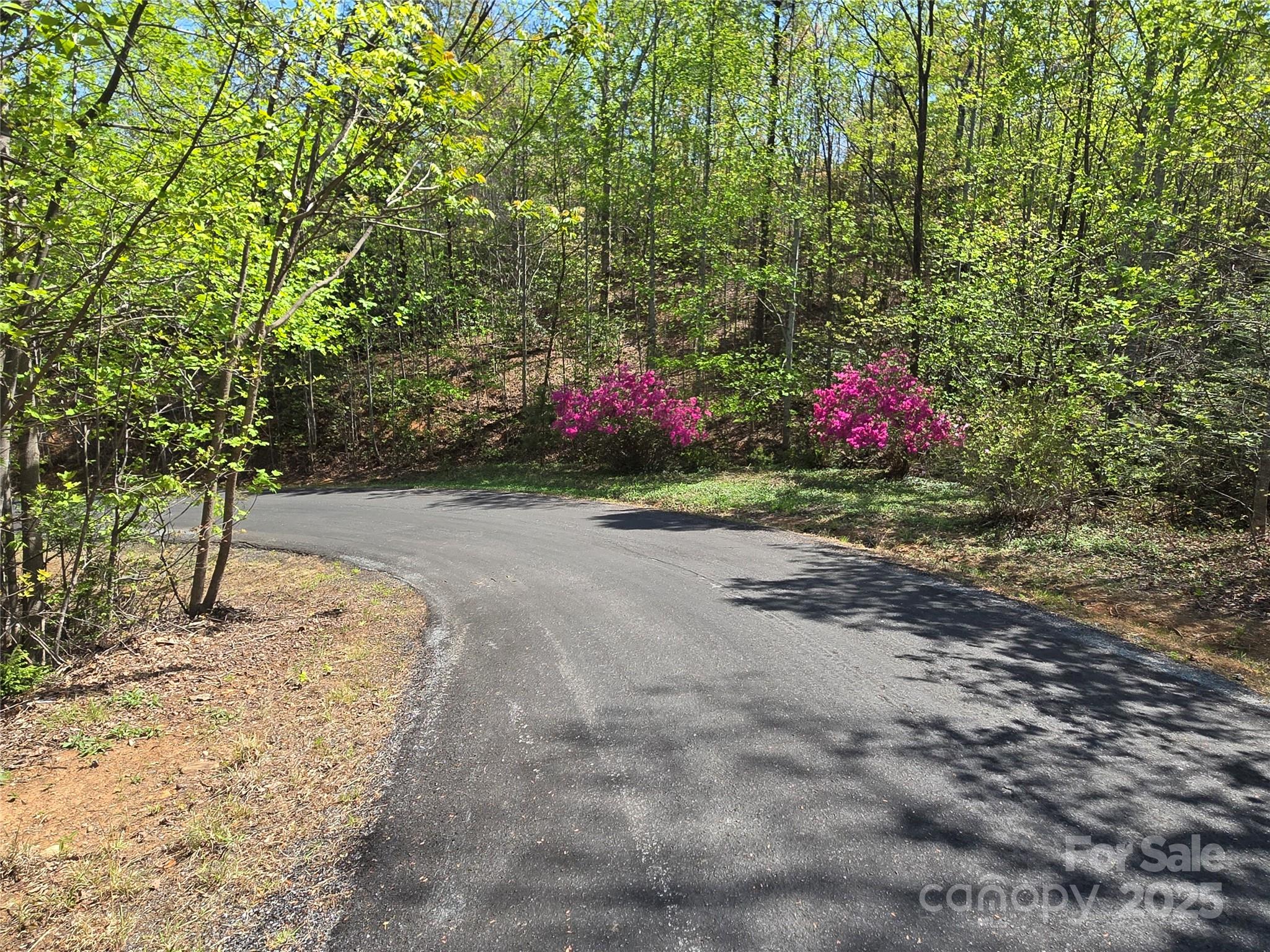 Rumbling Bald on Lake Lure - Land