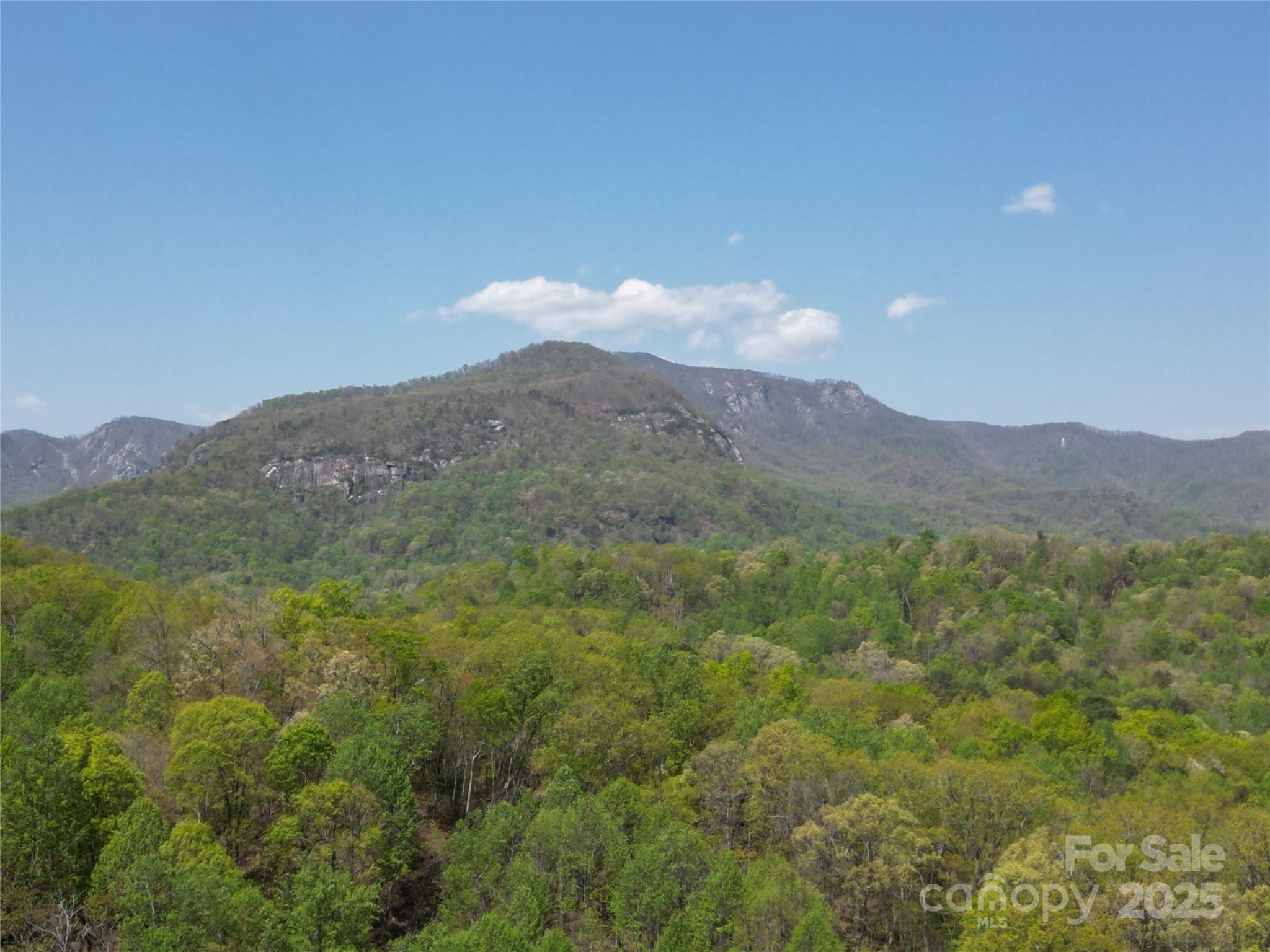 Rumbling Bald on Lake Lure - Land