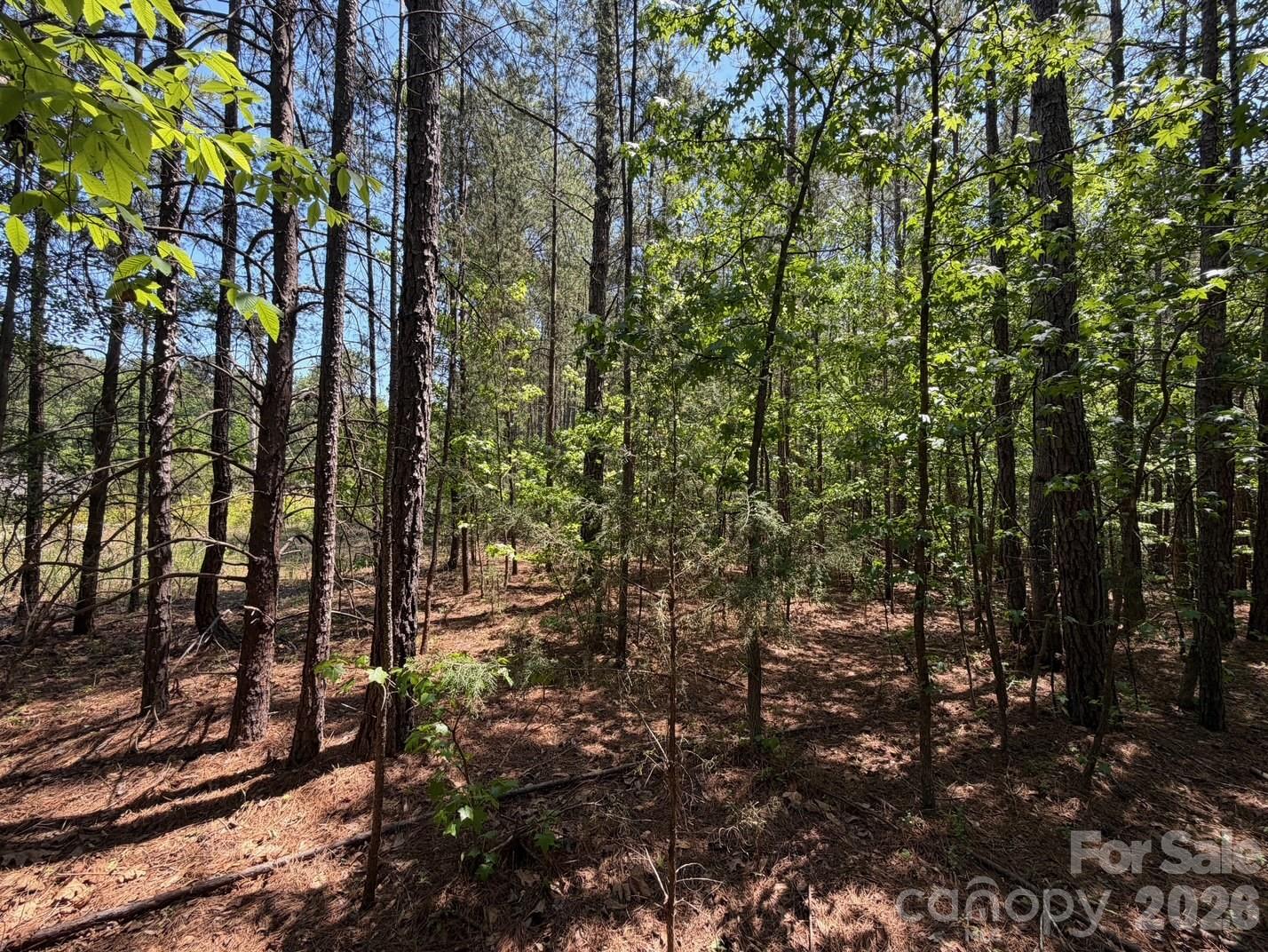 7 AC Terry Drive Highway