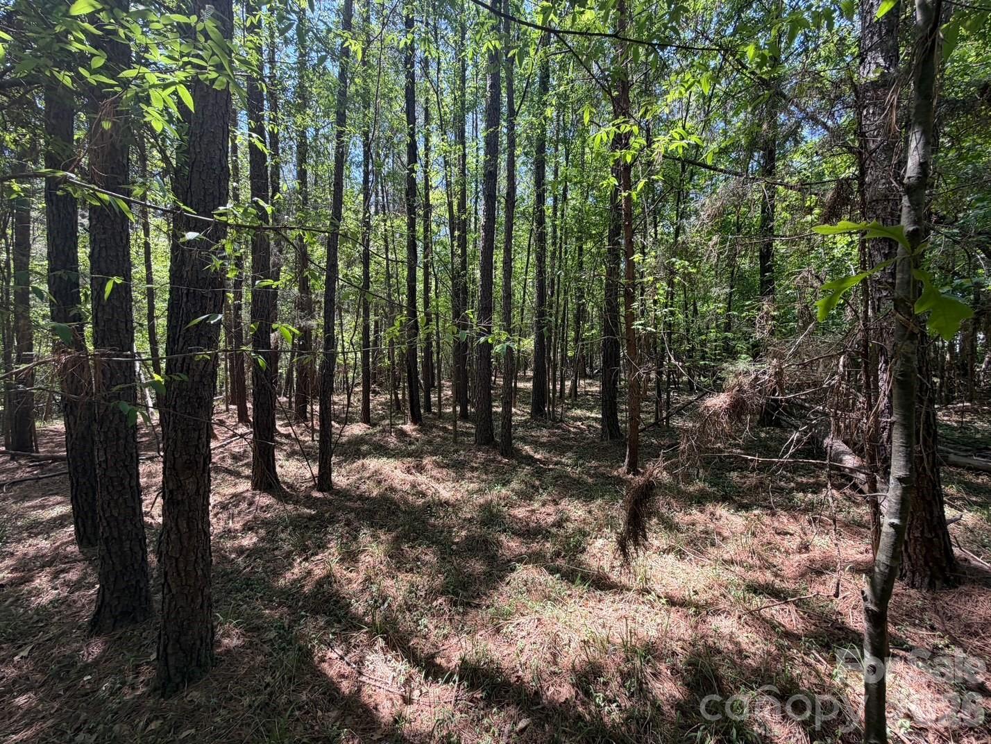 7 AC Terry Drive Highway