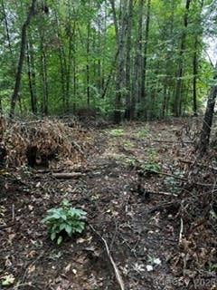 Photo of 7668 Long Bay Parkway, Catawba, NC 28609 (MLS # 4426468)