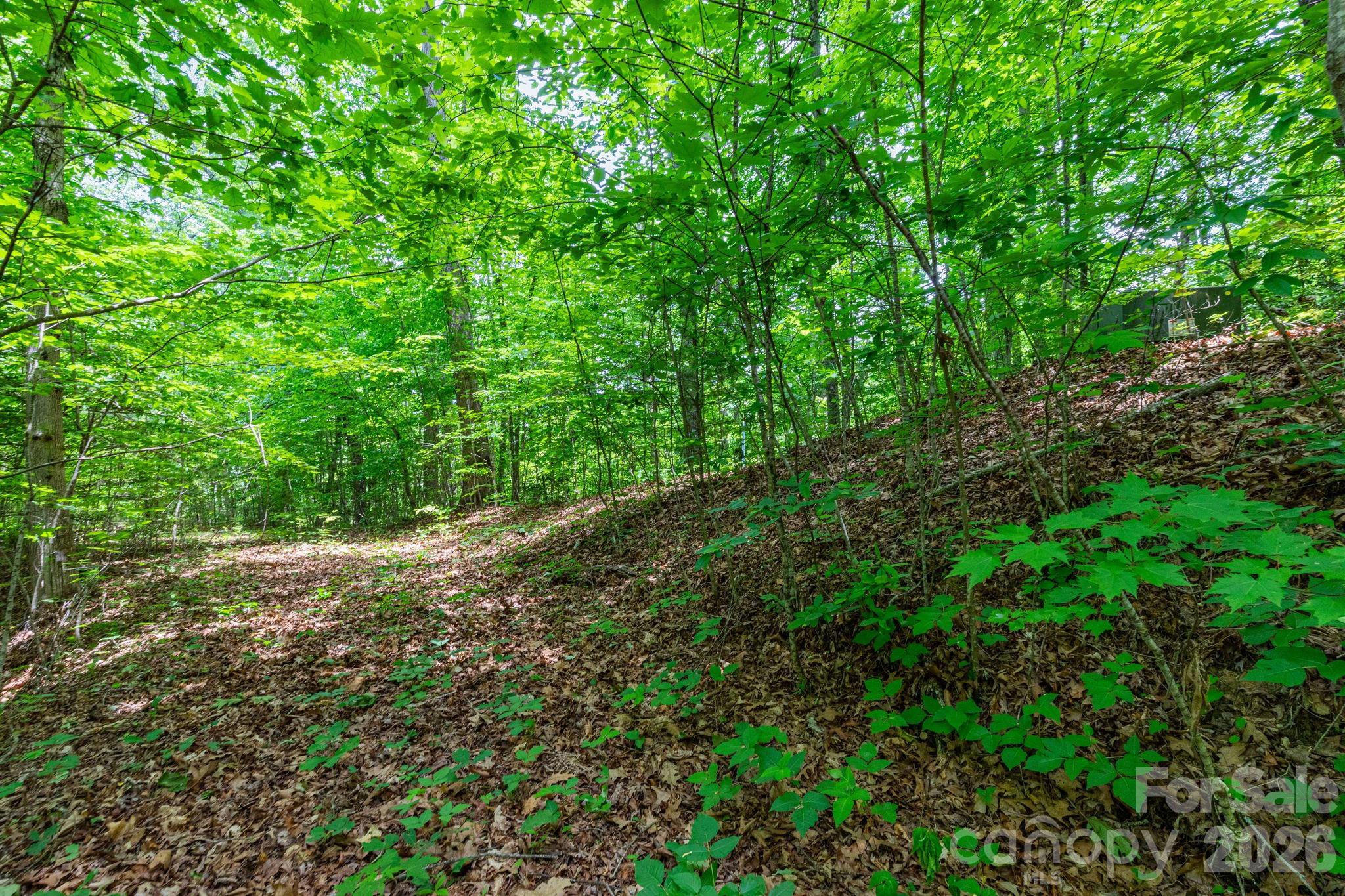 Grand View Estates - Land