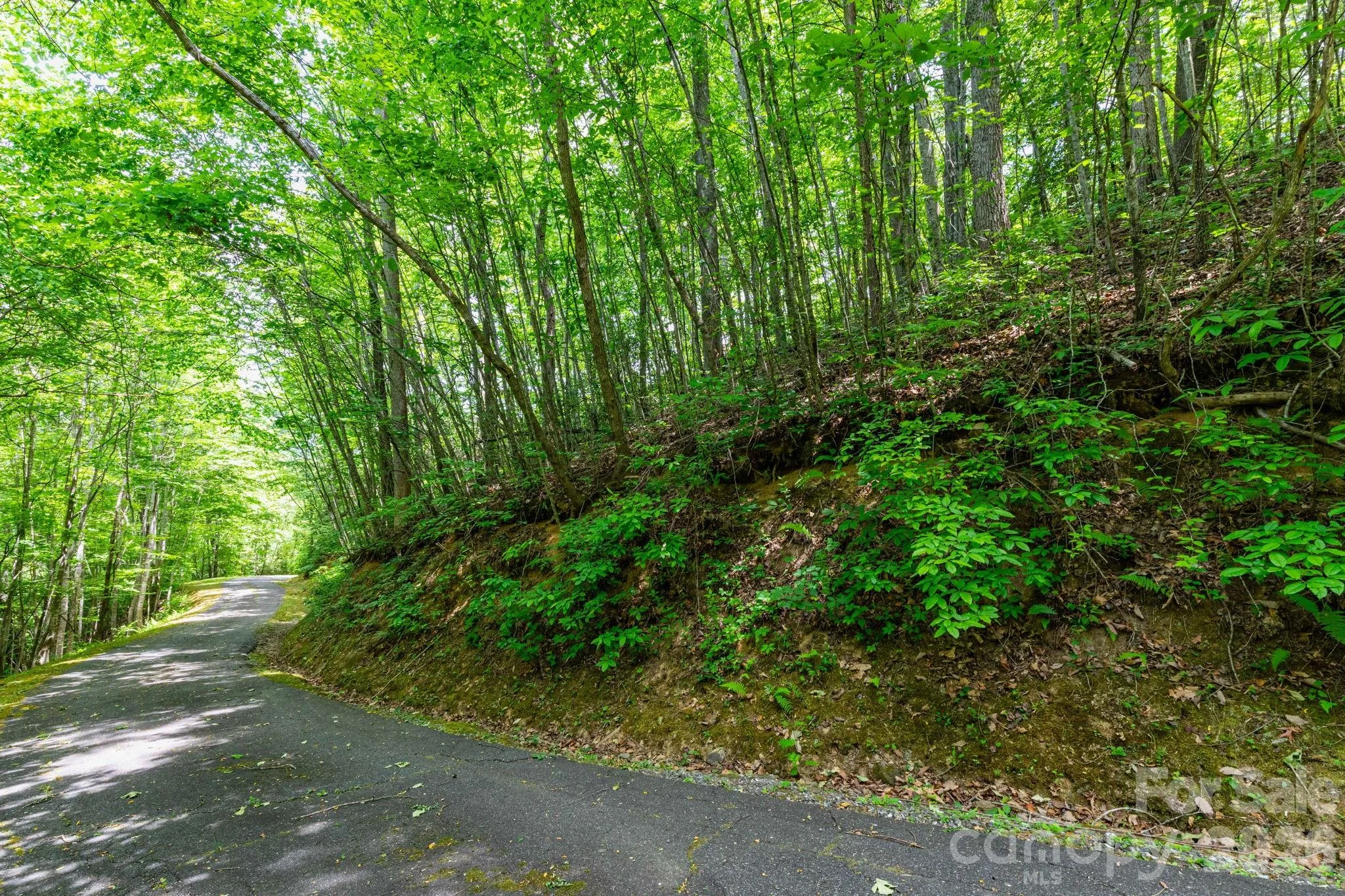 46 Widgeon Way, Whittier, NC, 28789