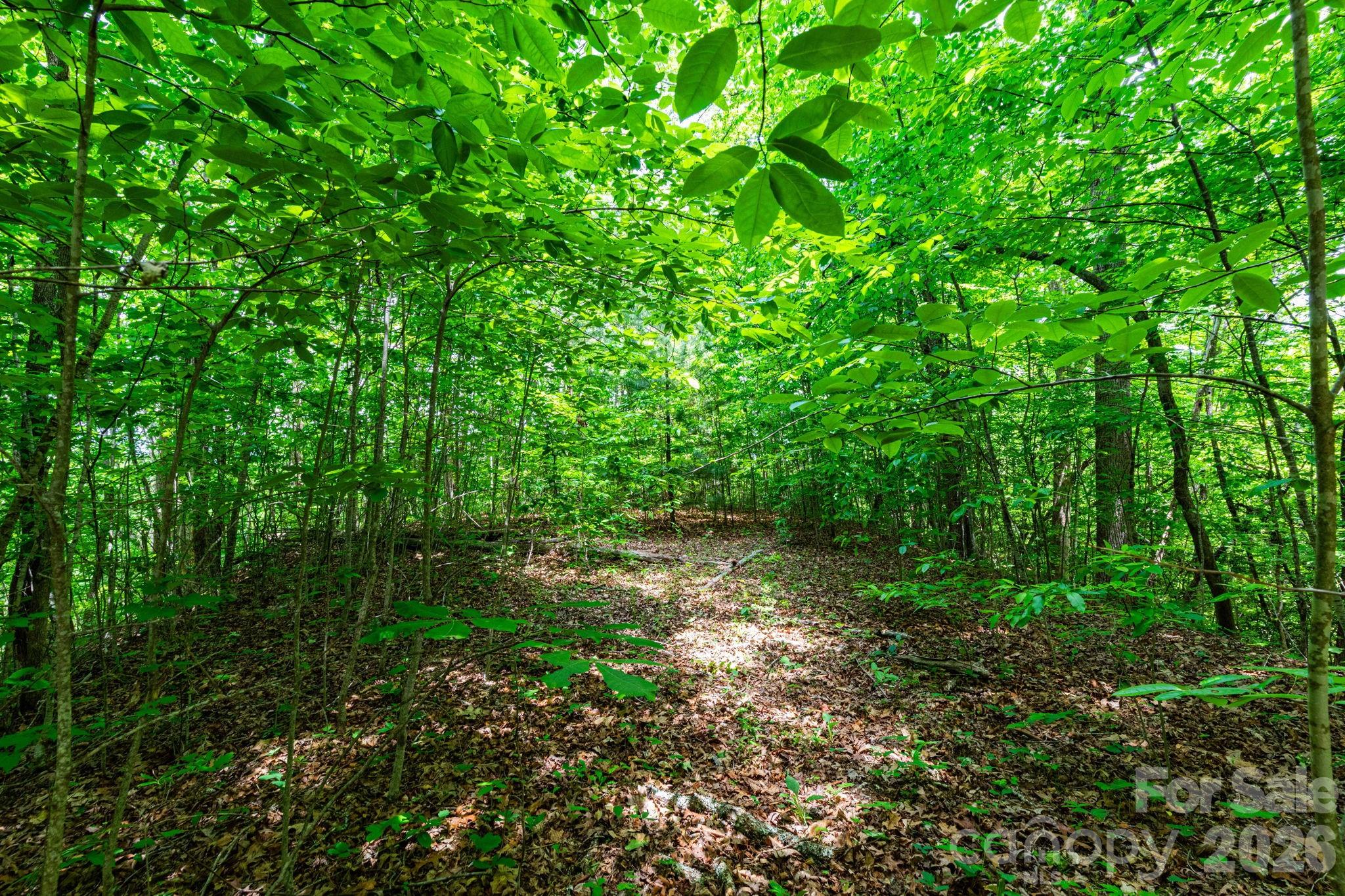 Grand View Estates - Land