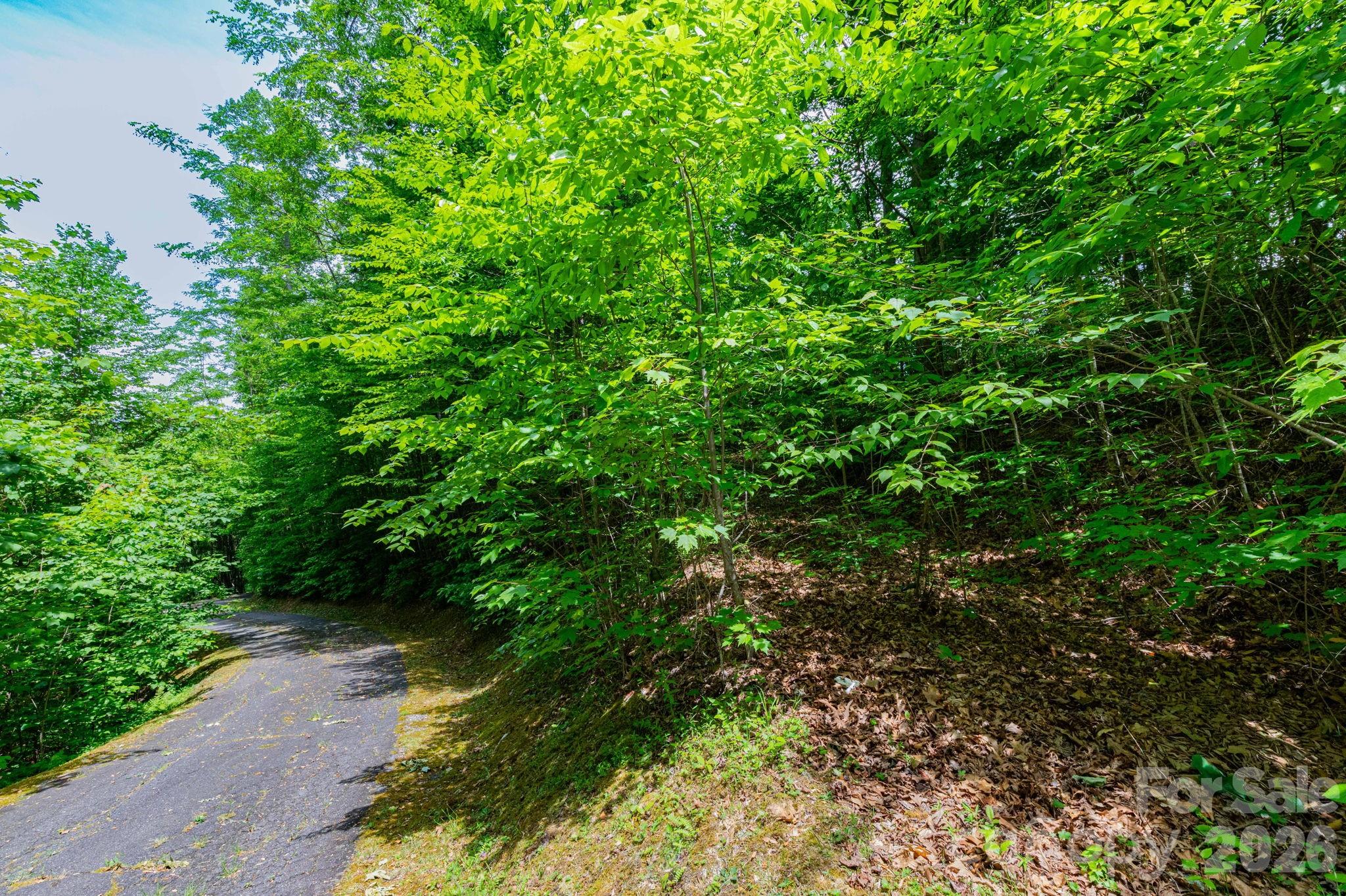 Grand View Estates - Land