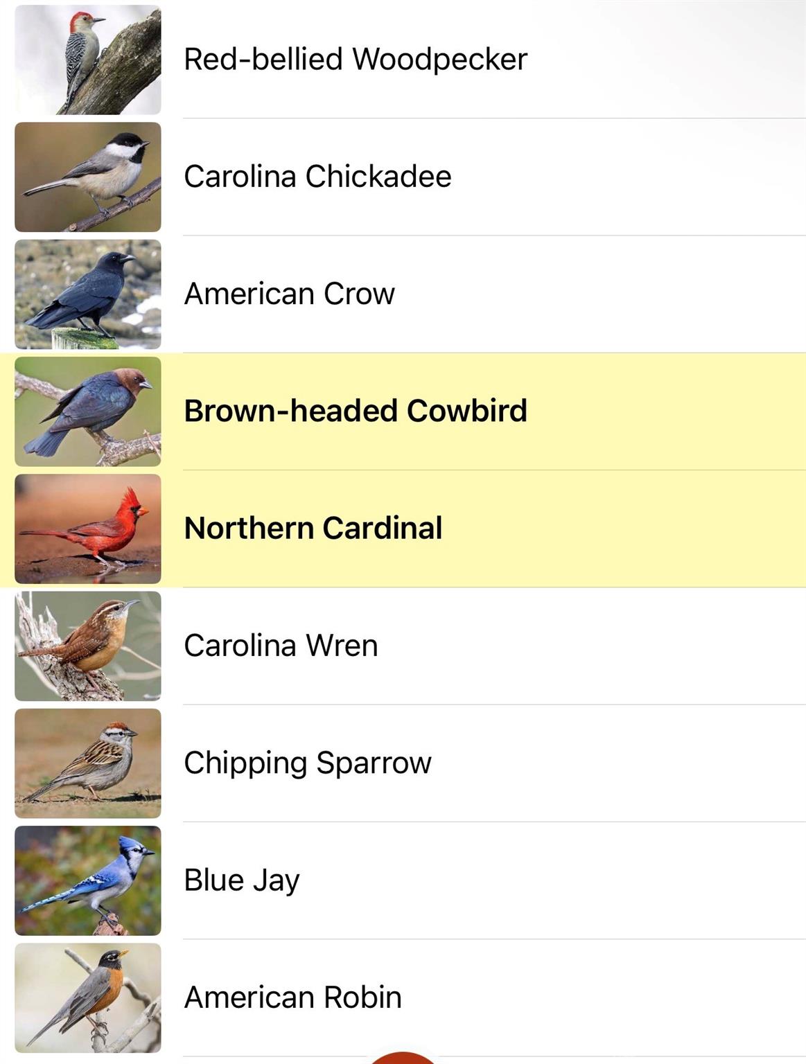 Lot 36 Smith Woods Lane 36