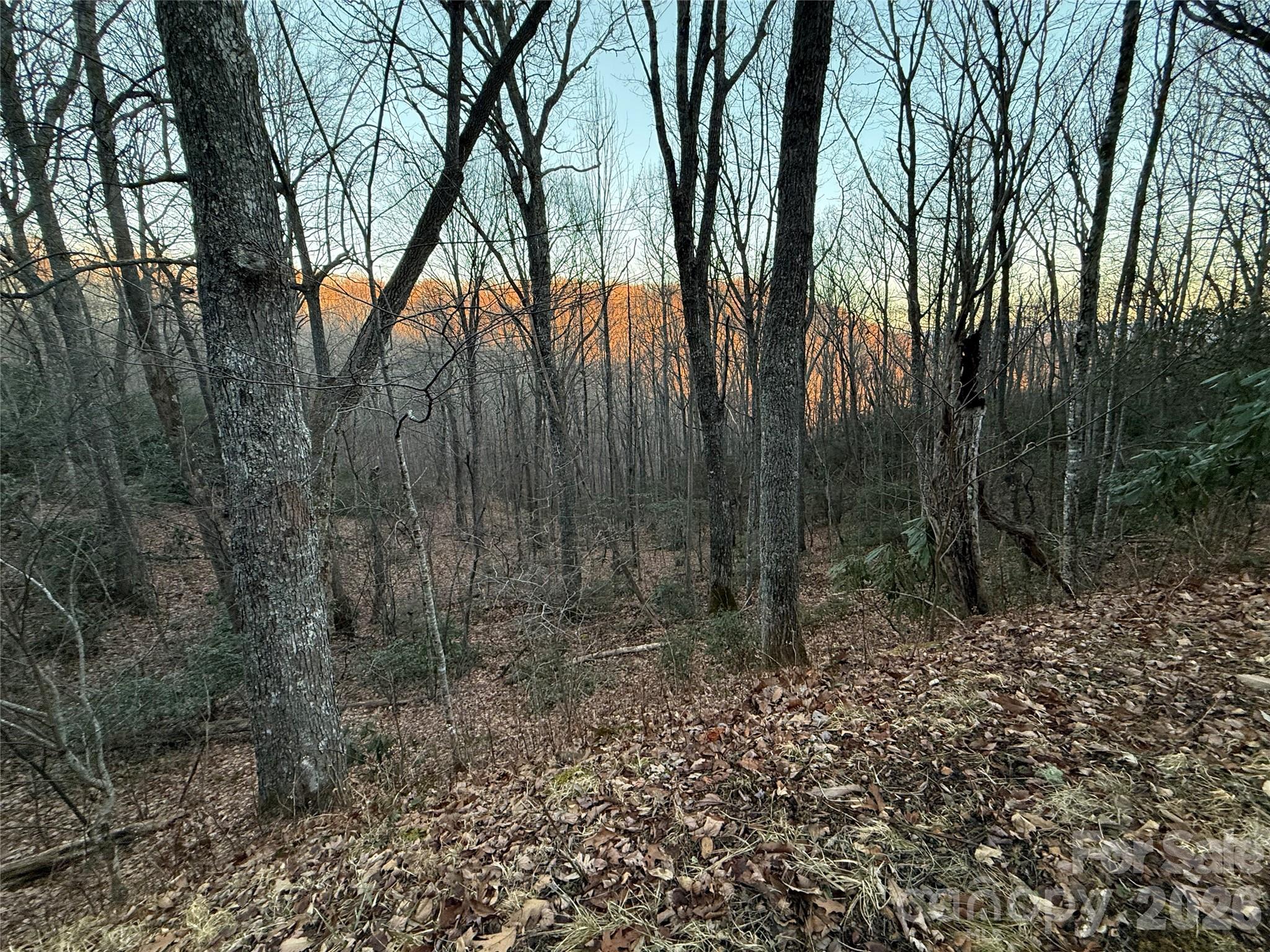 Lot 32 Bear Hollow Road 32