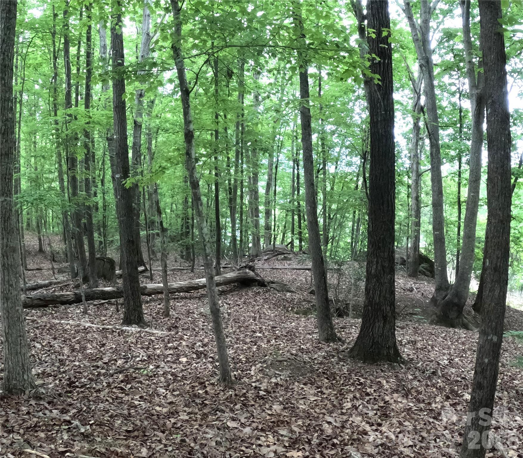 Debutary Pointe - Land