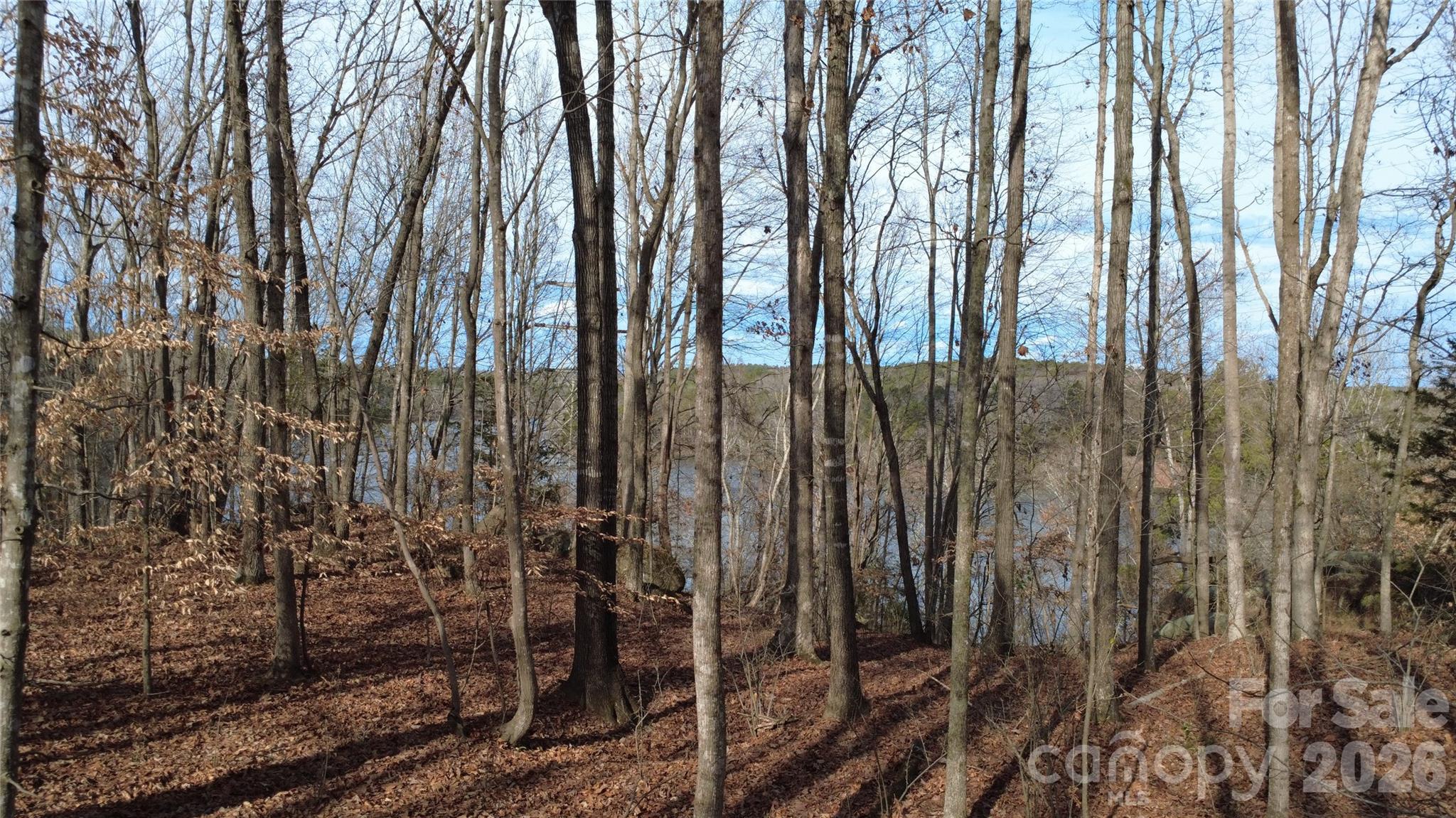 Debutary Pointe - Land