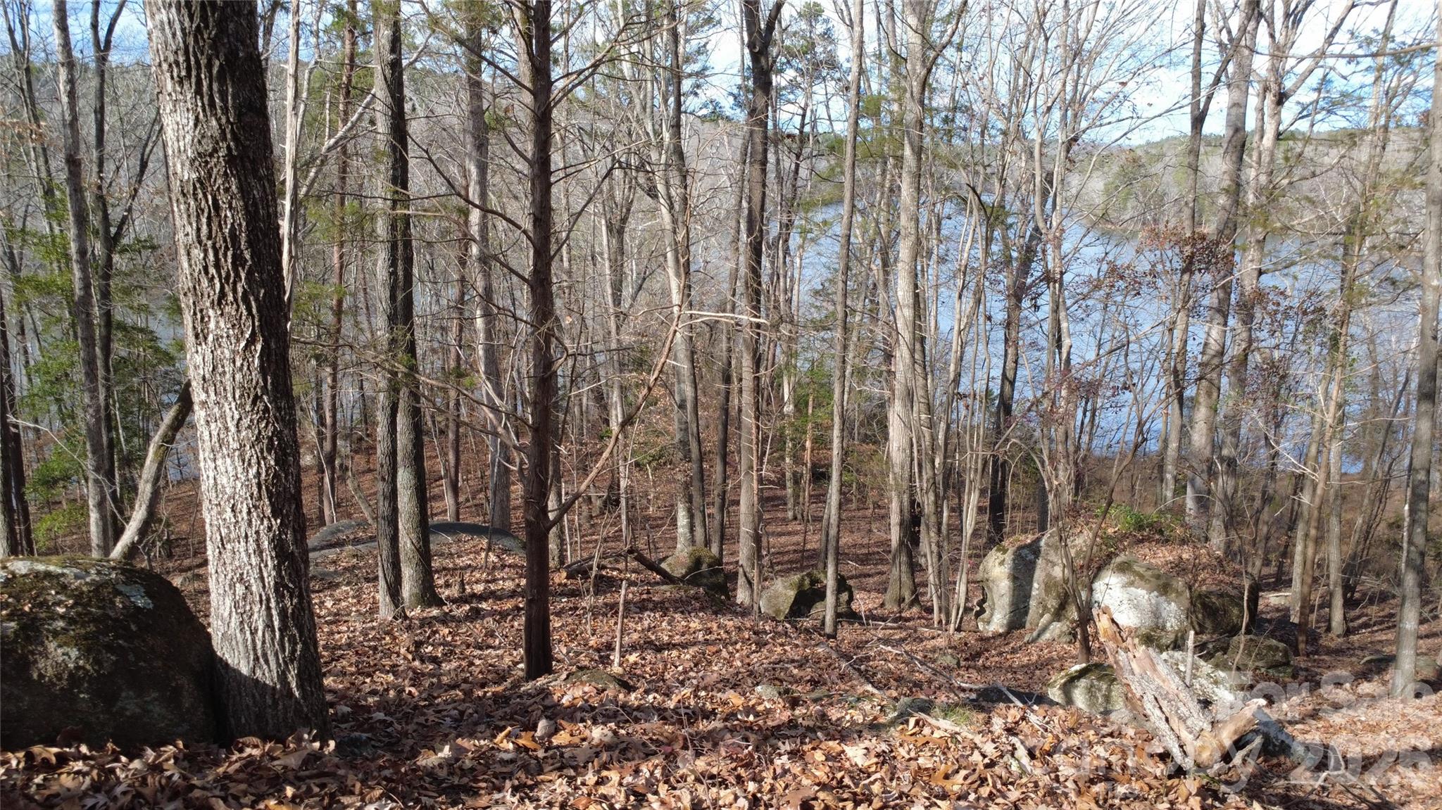 Debutary Pointe - Land