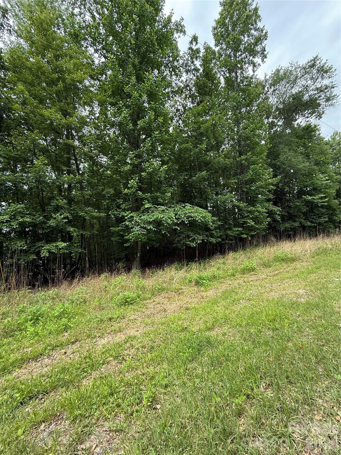 Debutary Pointe - Land