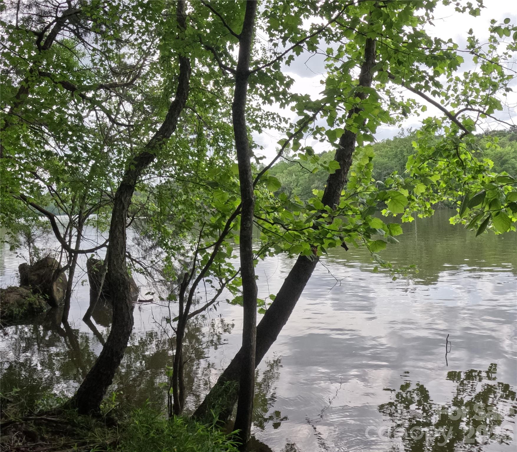 Debutary Pointe - Land