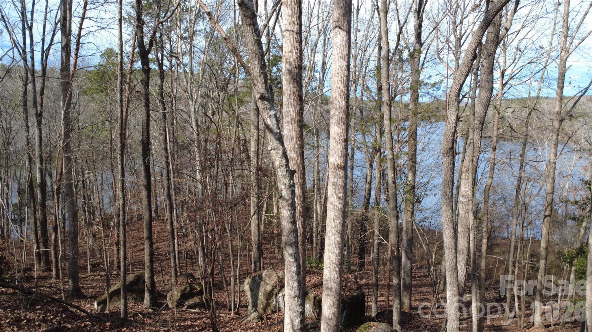 Debutary Pointe - Land