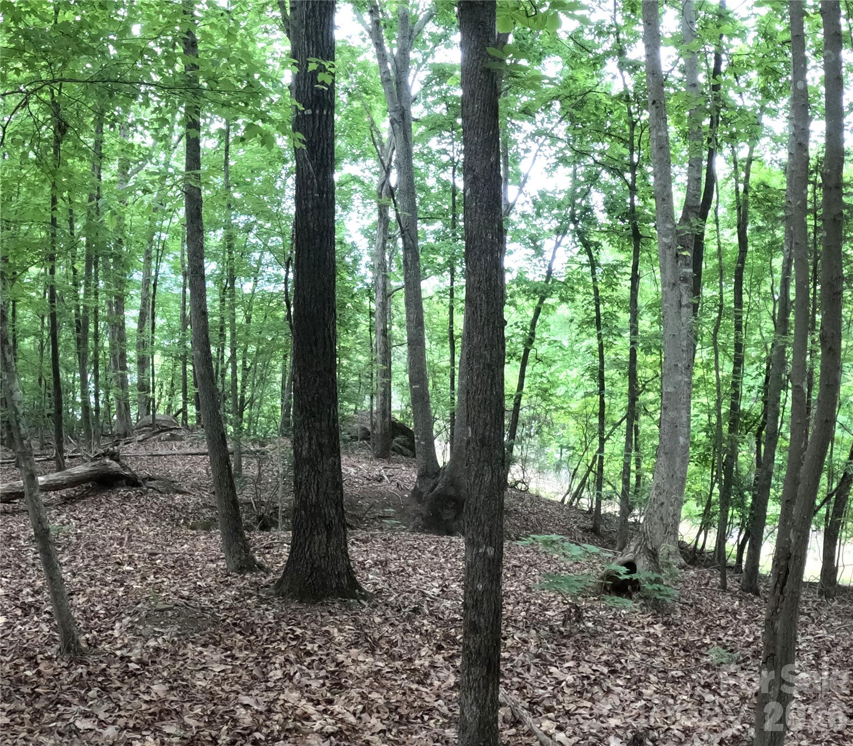 Debutary Pointe - Land