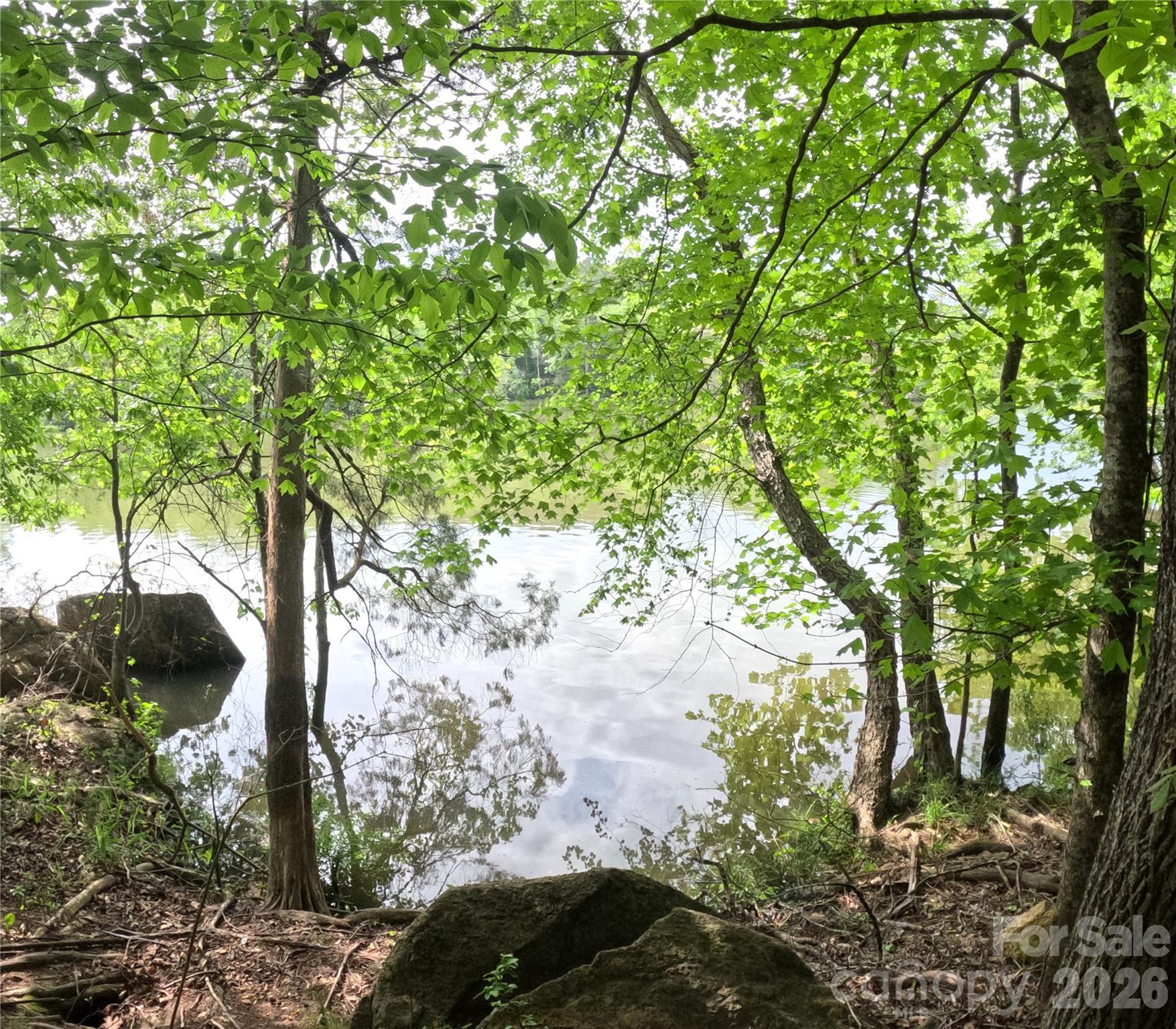 Debutary Pointe - Land