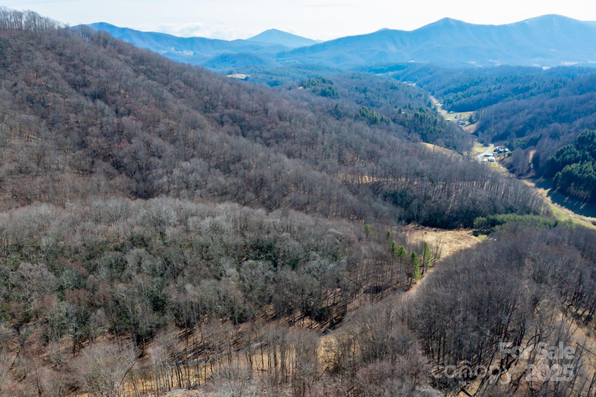 61+ acres Glenn Miller Road