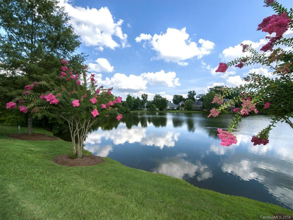 Beacon Knoll - Residential