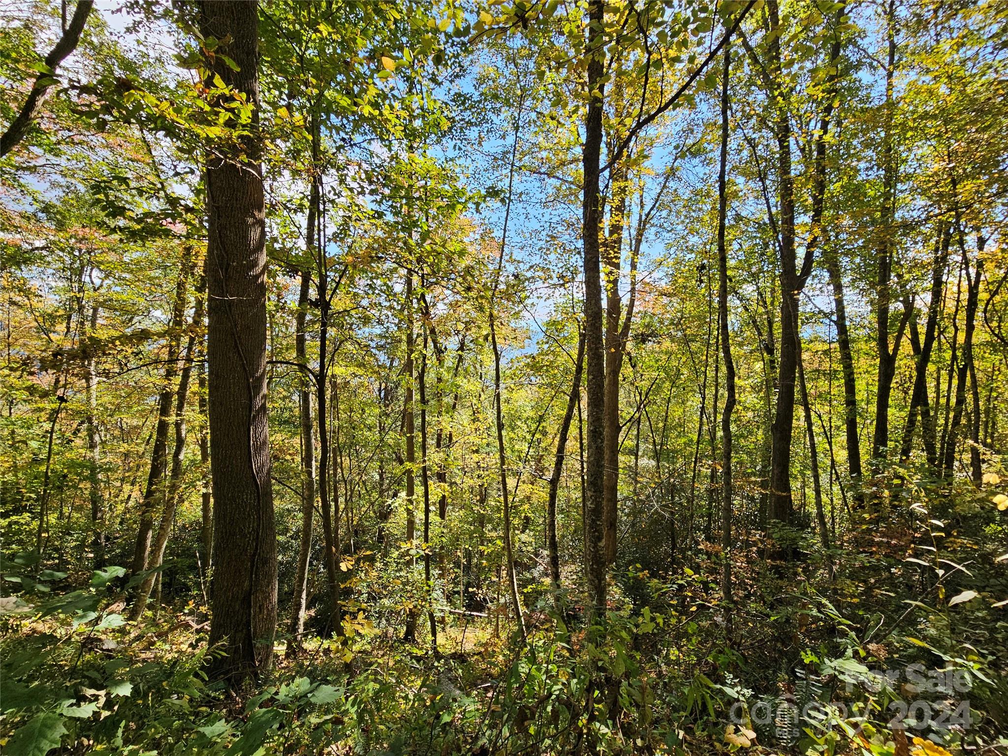 Hurricane Ridge Ltd - Land
