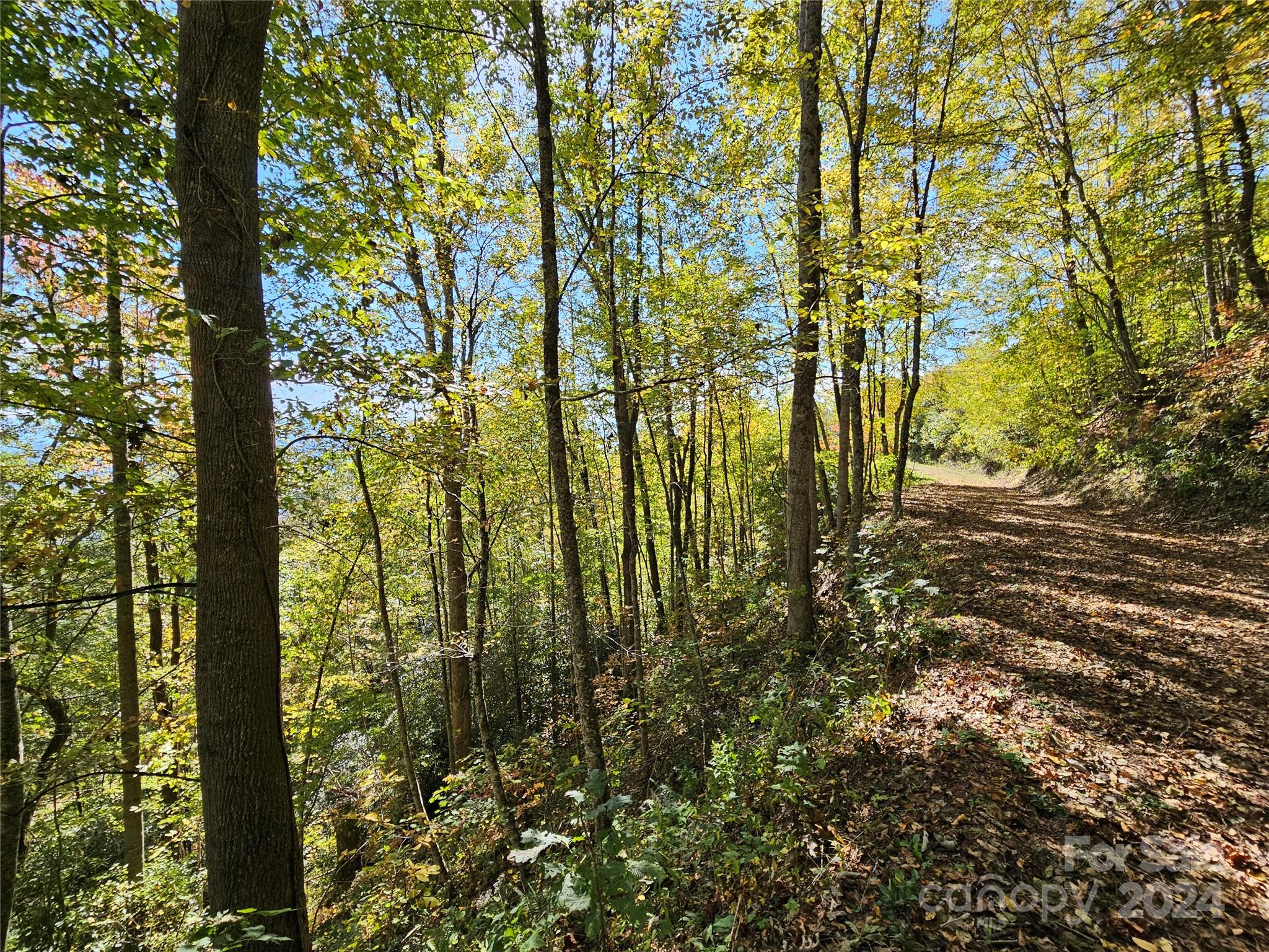Hurricane Ridge Ltd - Land