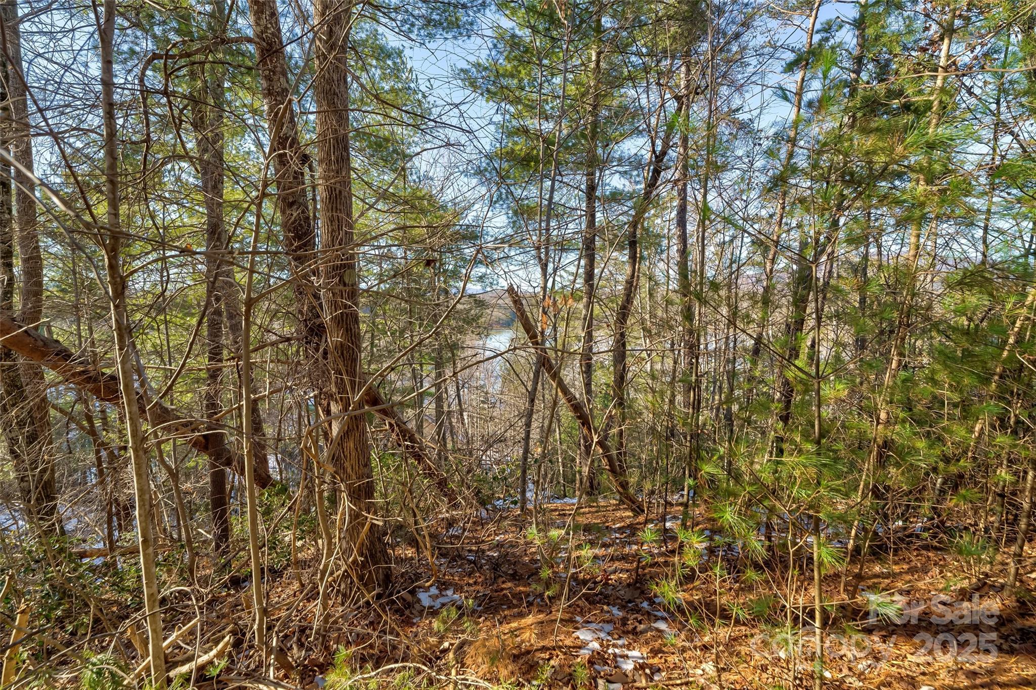 The Arbor at Lake James - Land