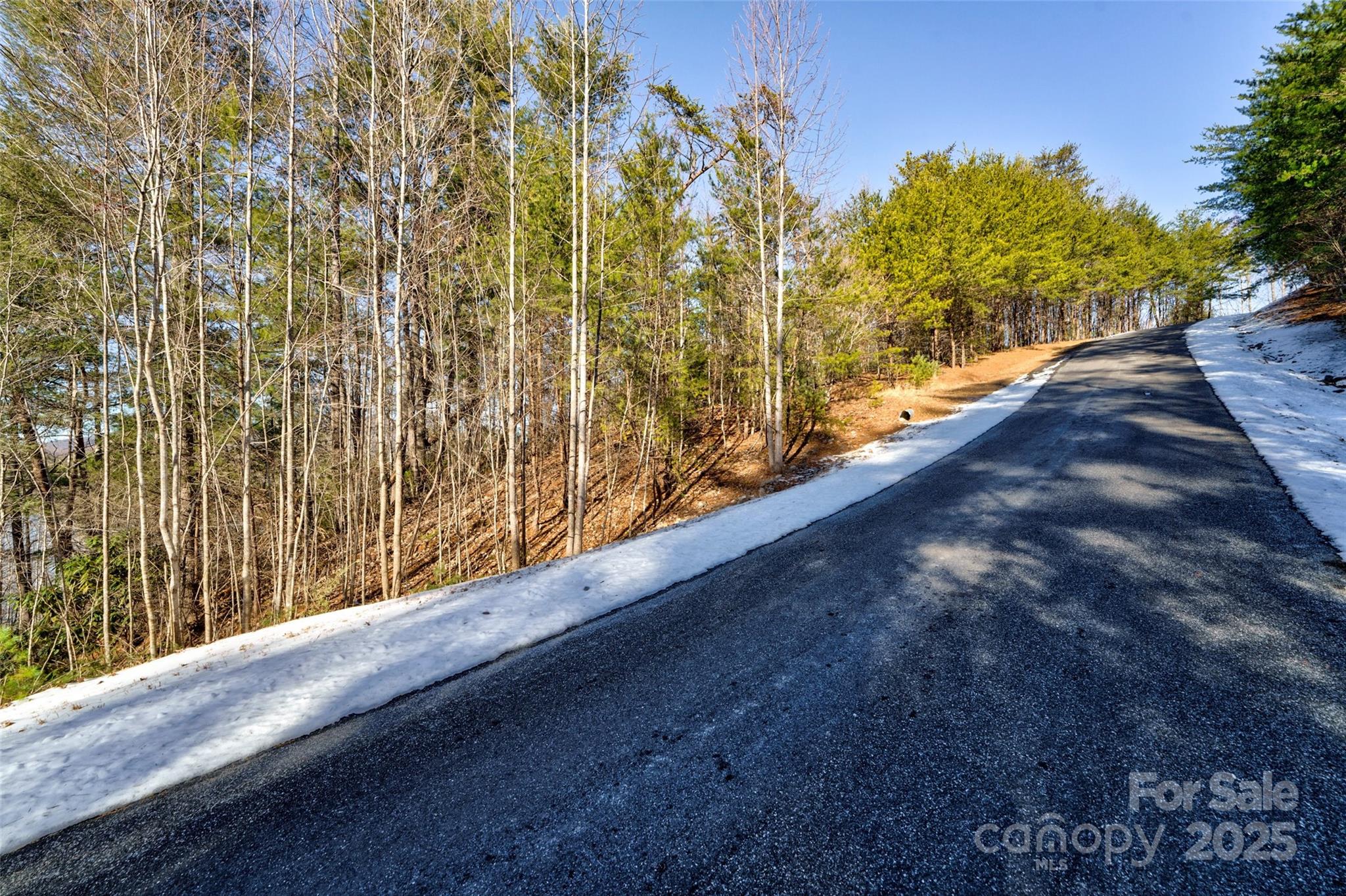 The Arbor at Lake James - Land