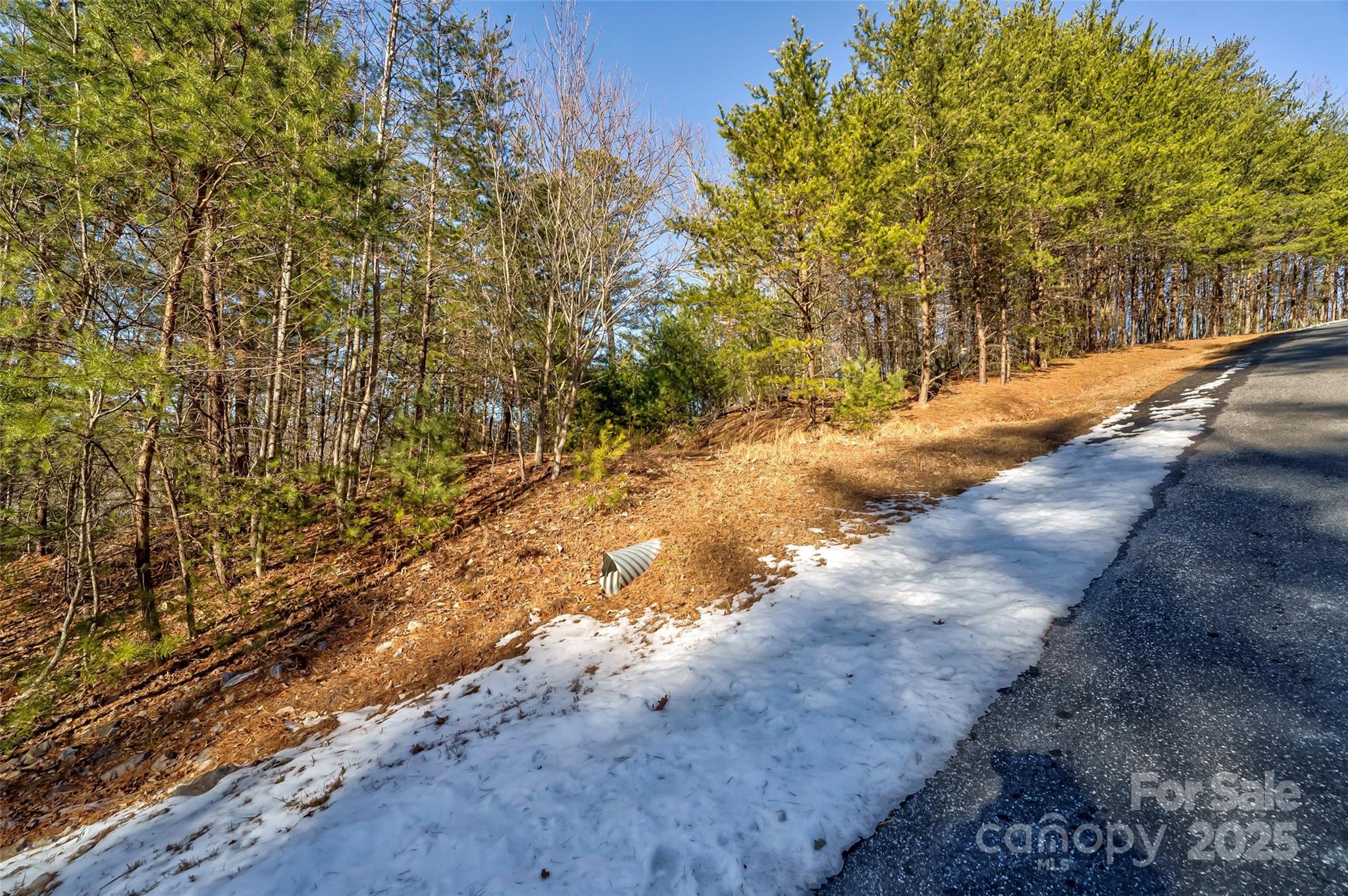 The Arbor at Lake James - Land