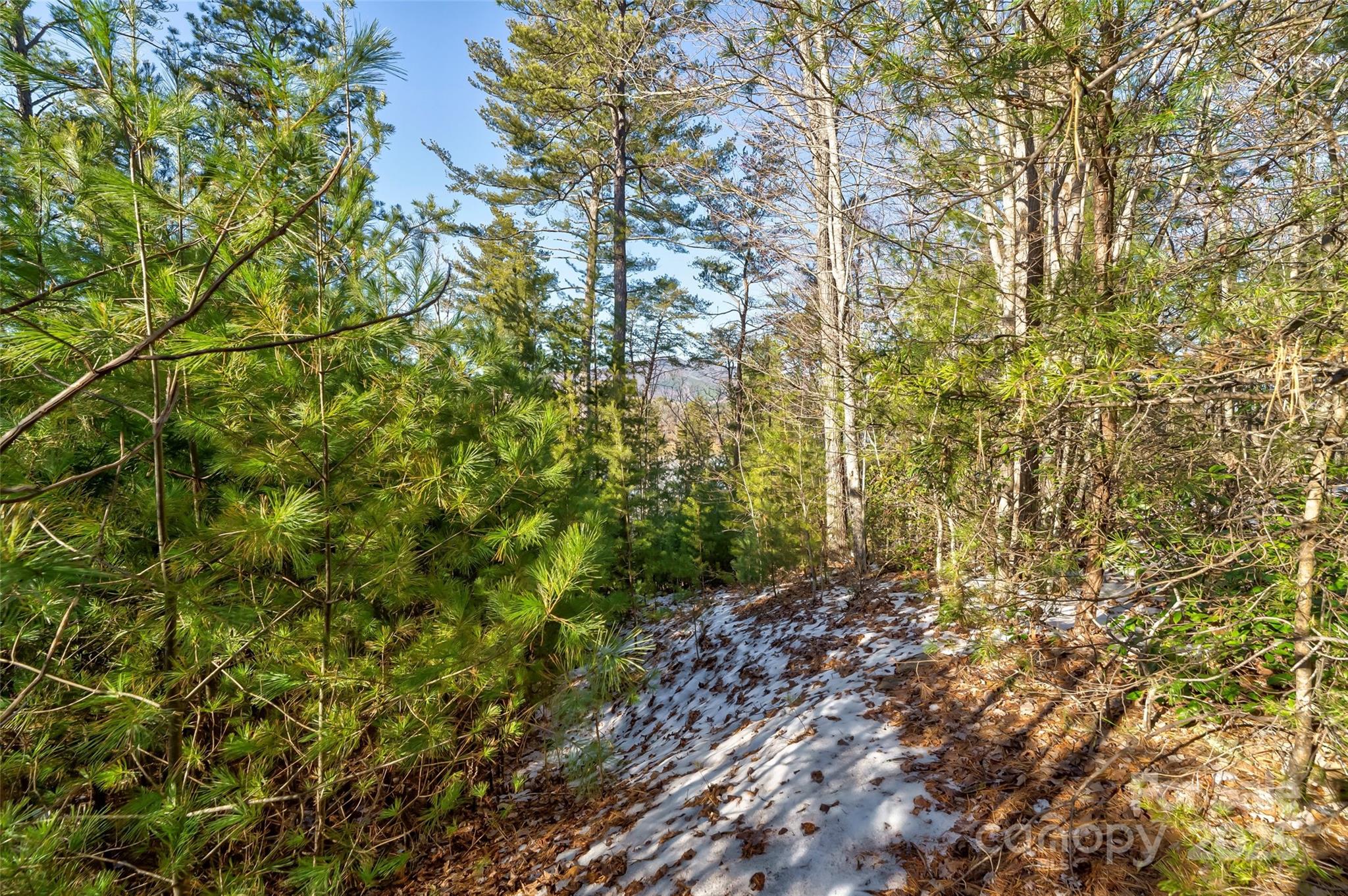 The Arbor at Lake James - Land