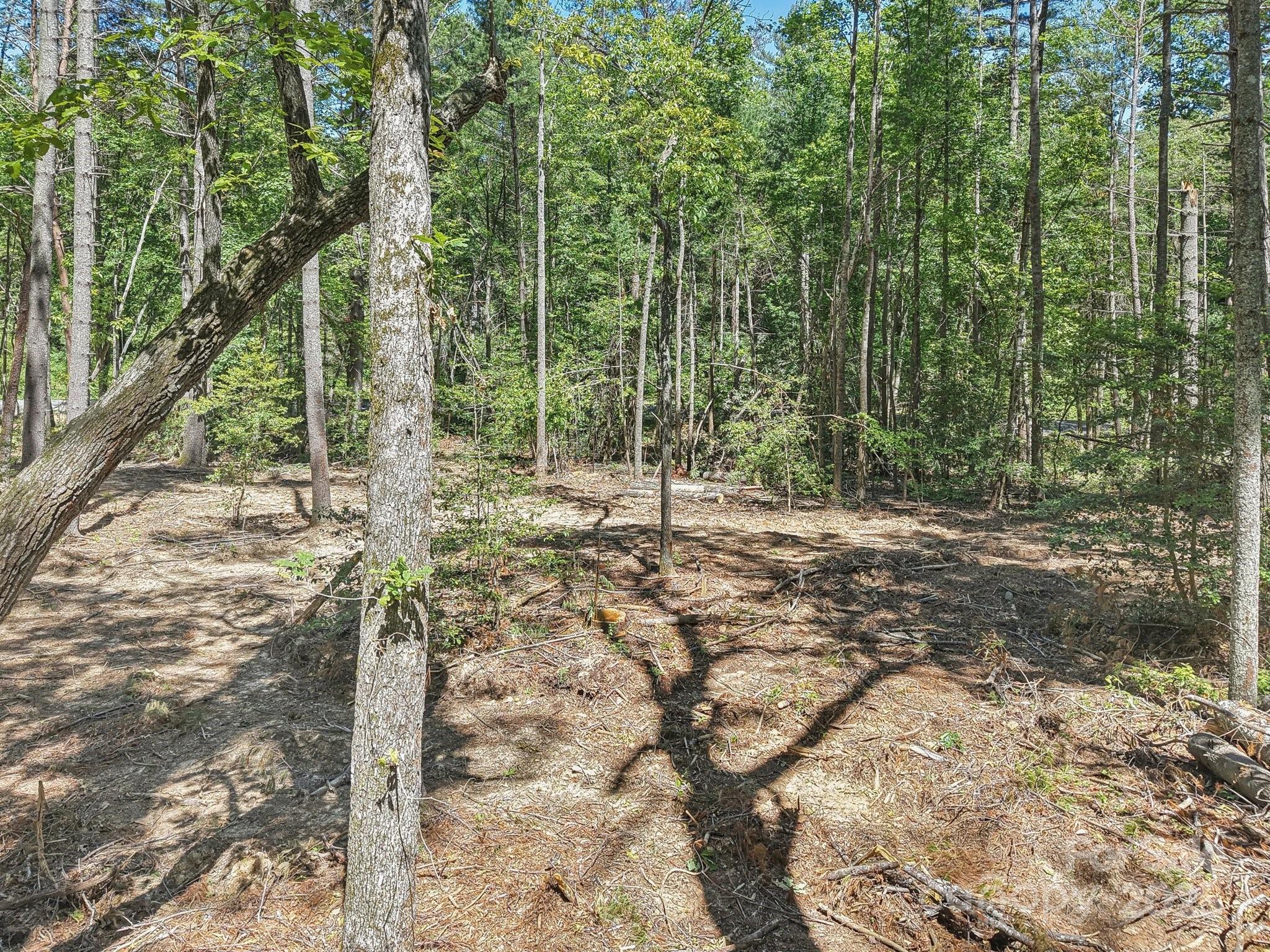 Ravenwood Estates - Land