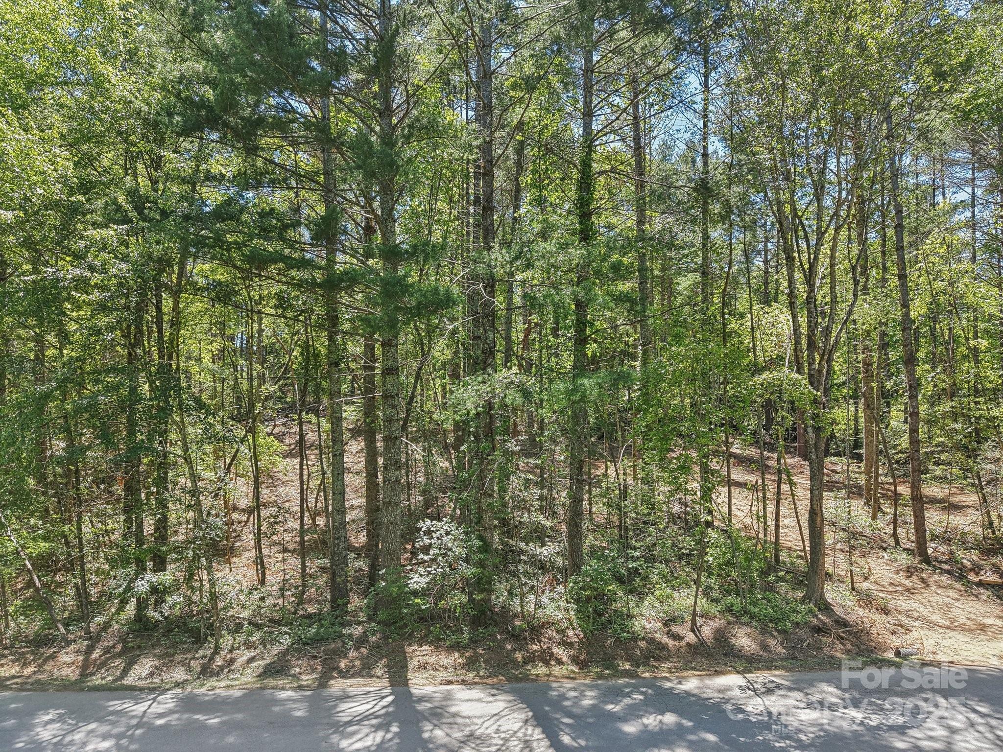 000 Ravenwood Drive 6