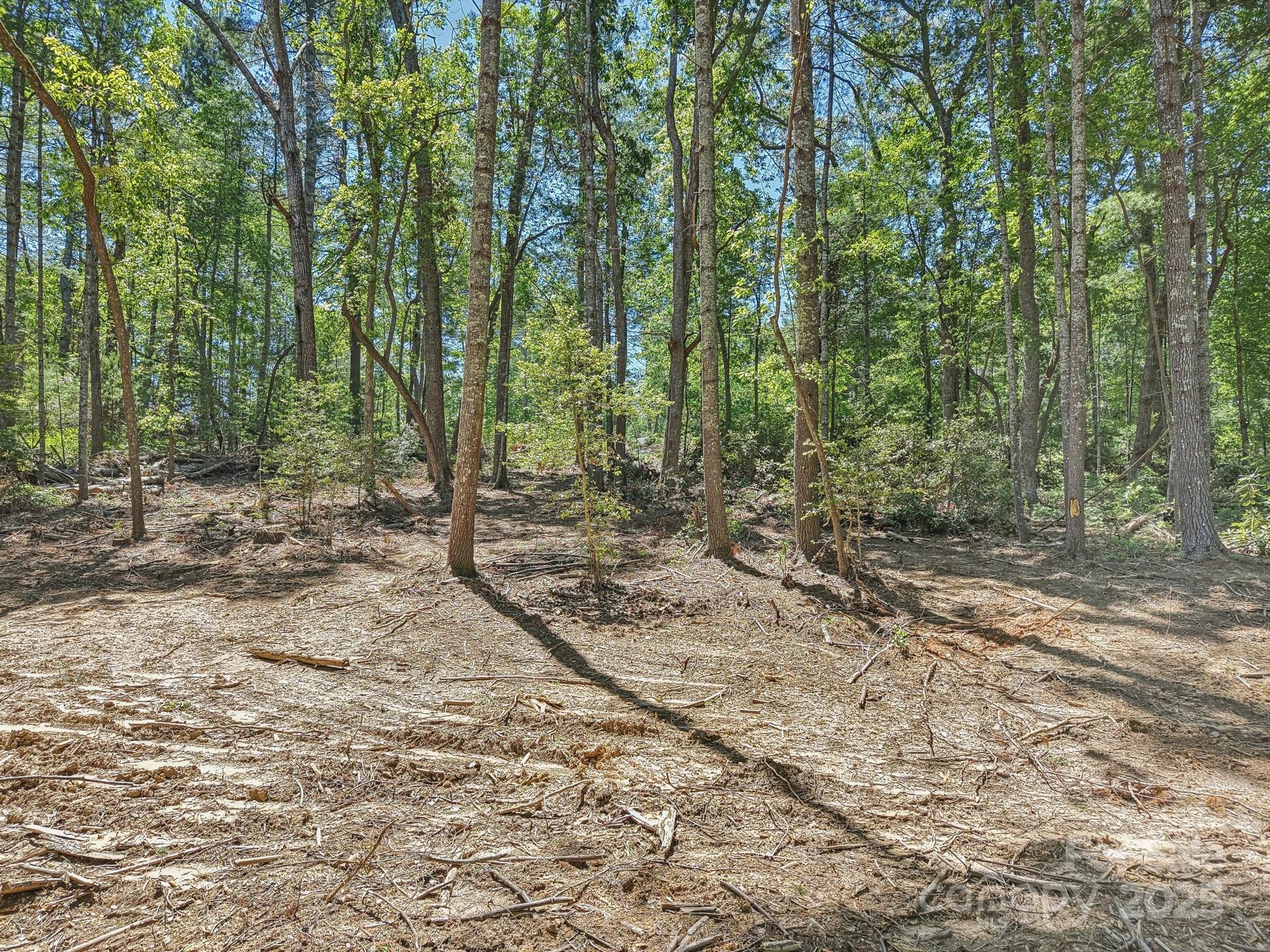 Ravenwood Estates - Land