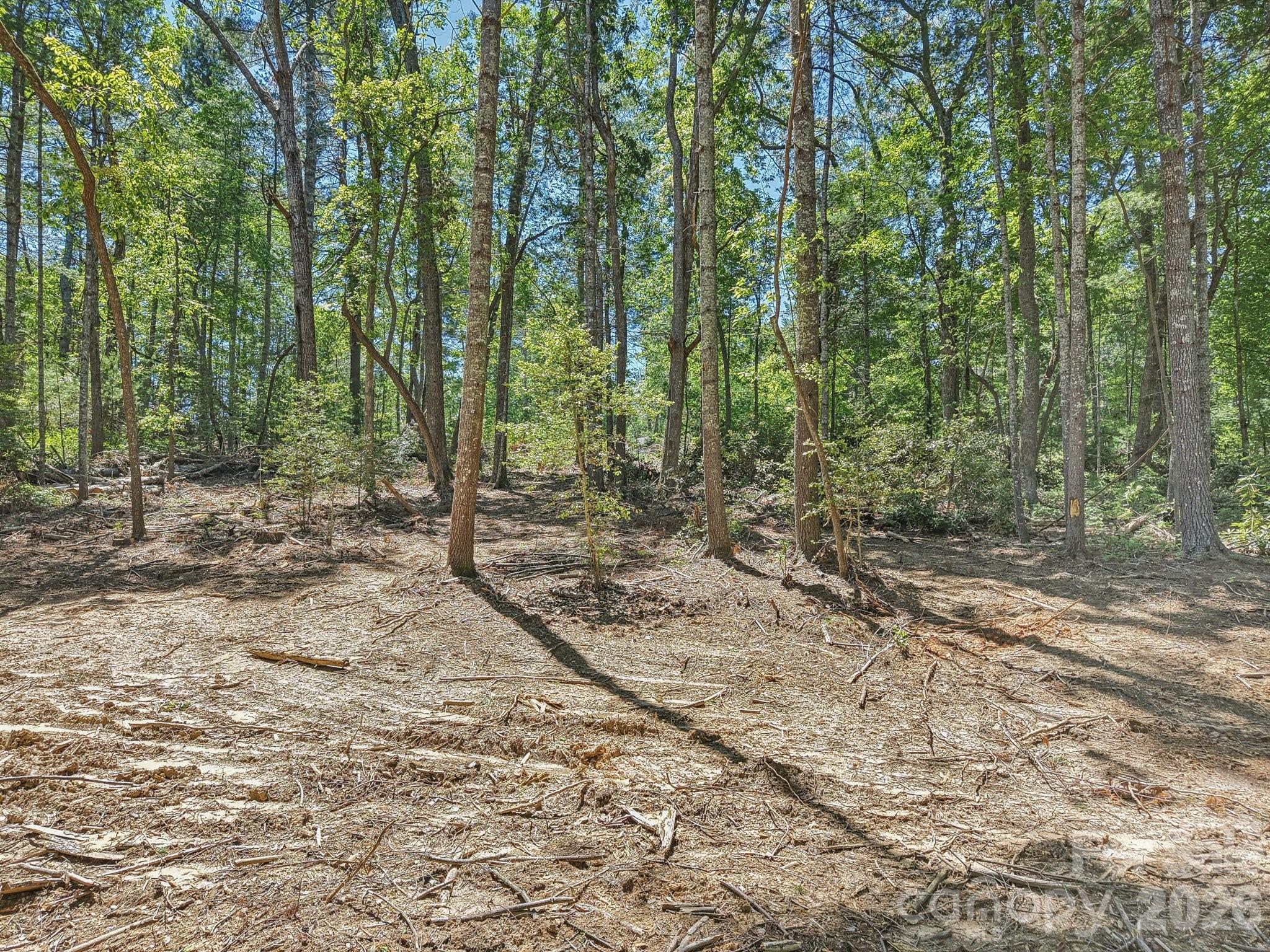 Ravenwood Estates - Land