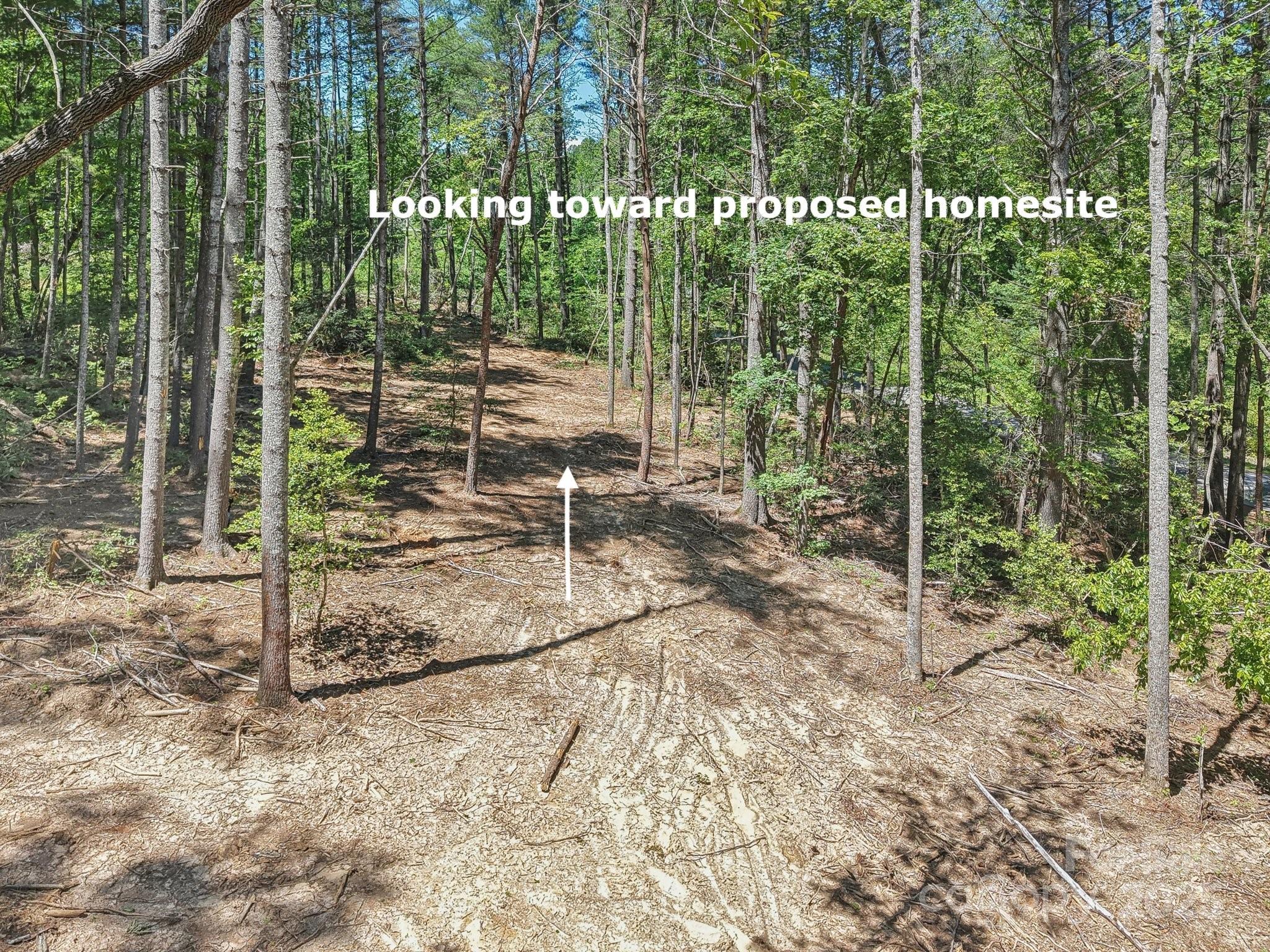 Ravenwood Estates - Land