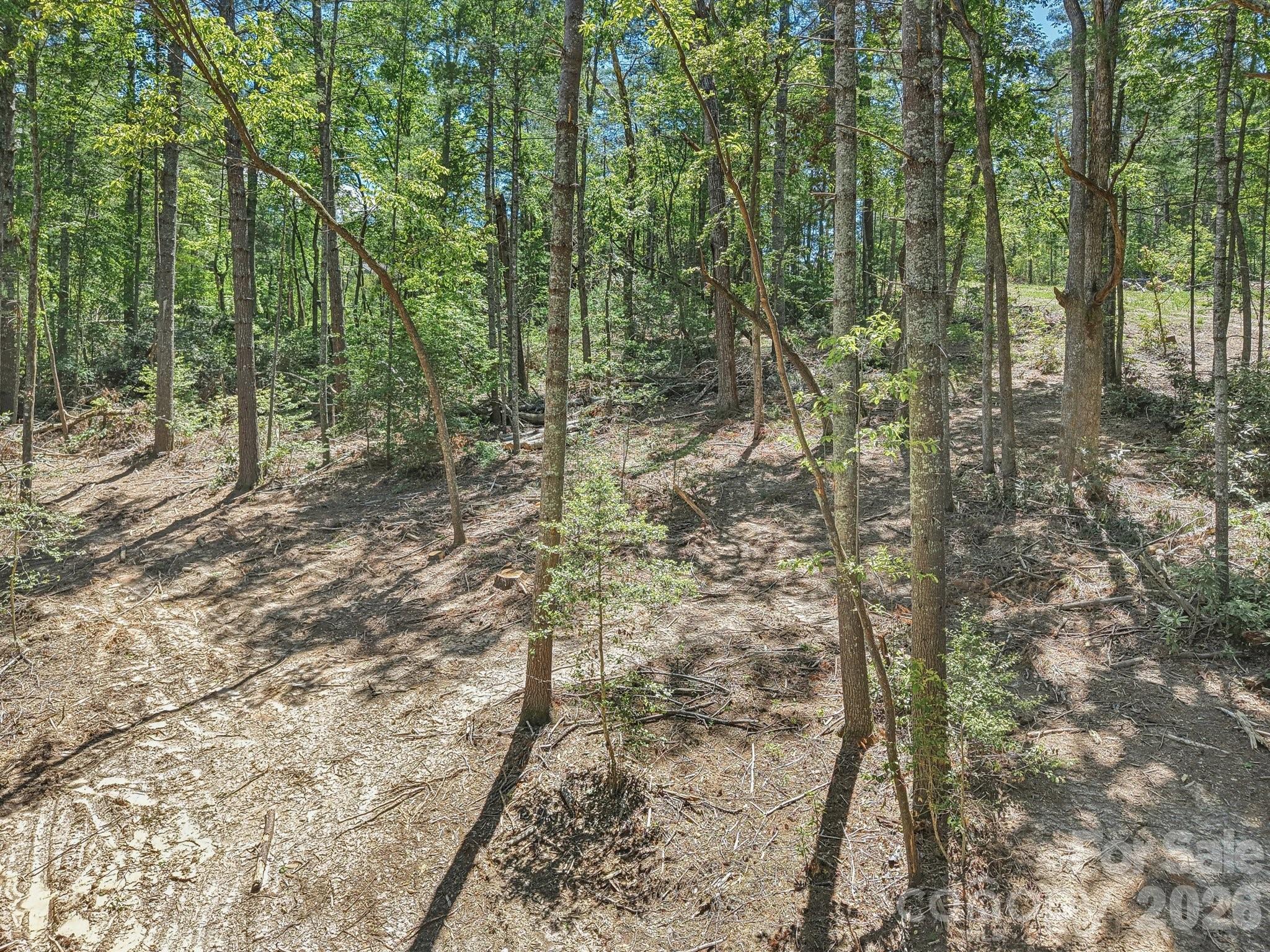 Ravenwood Estates - Land