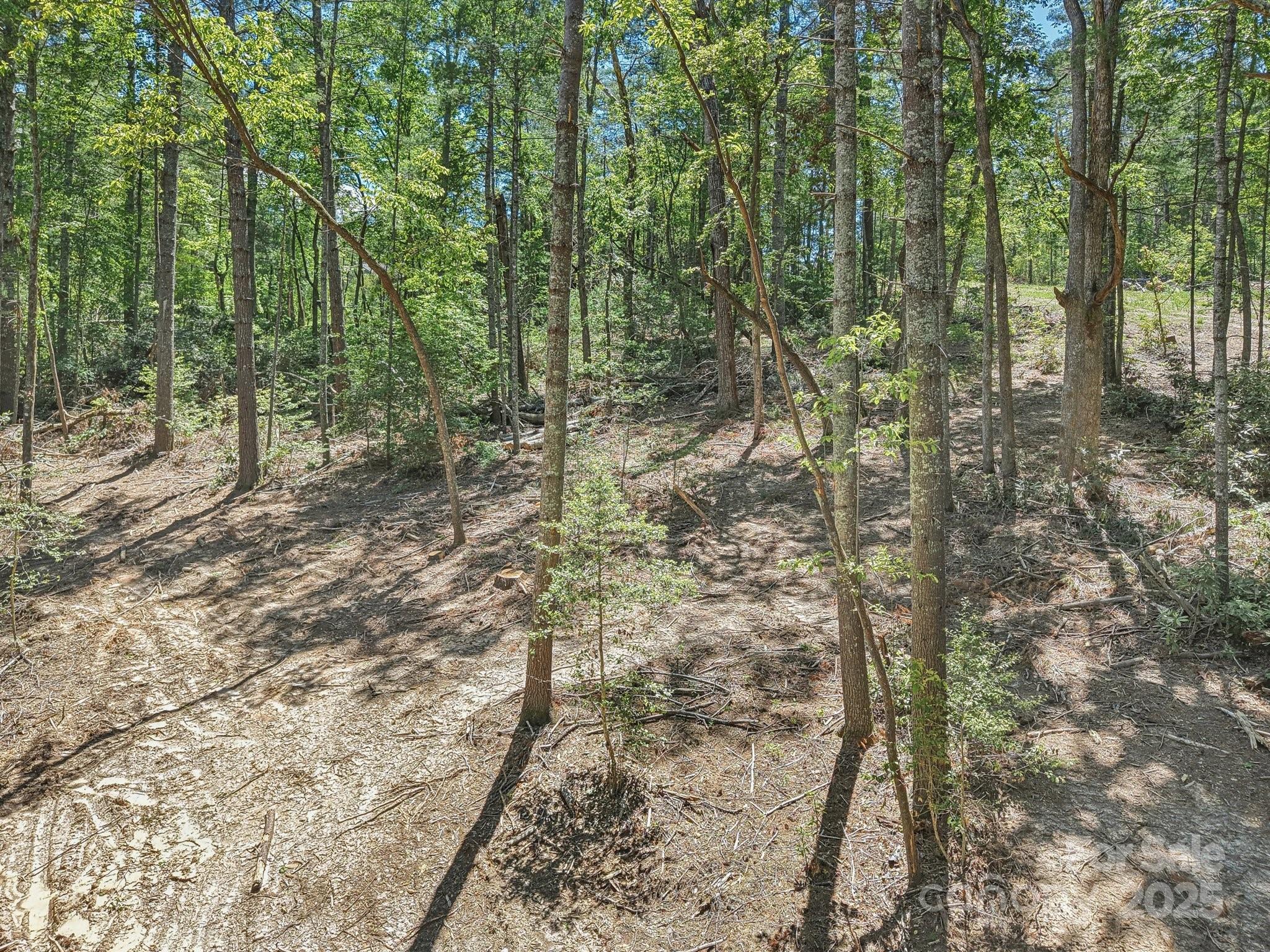 Ravenwood Estates - Land