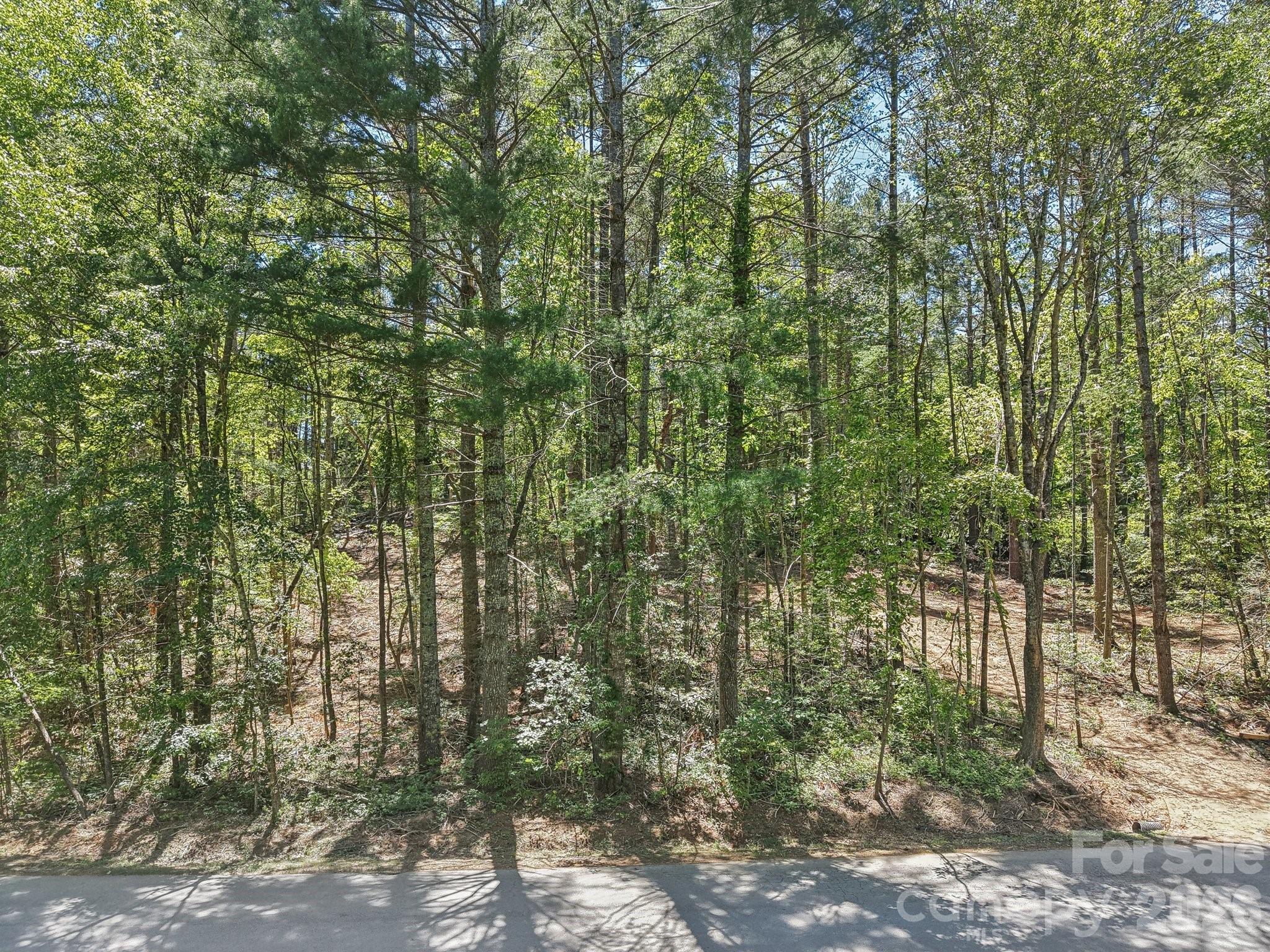 Ravenwood Estates - Land