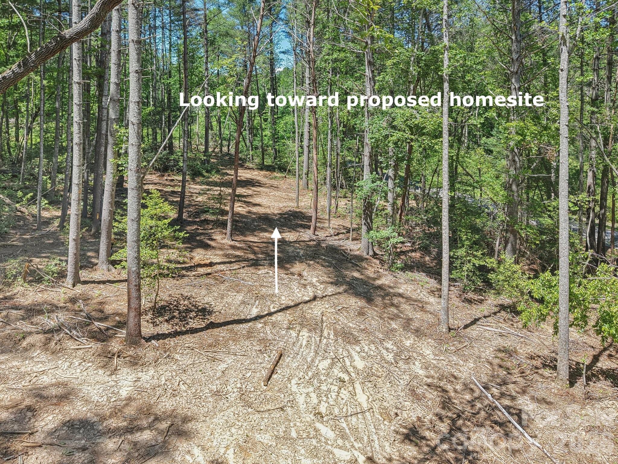 Ravenwood Estates - Land