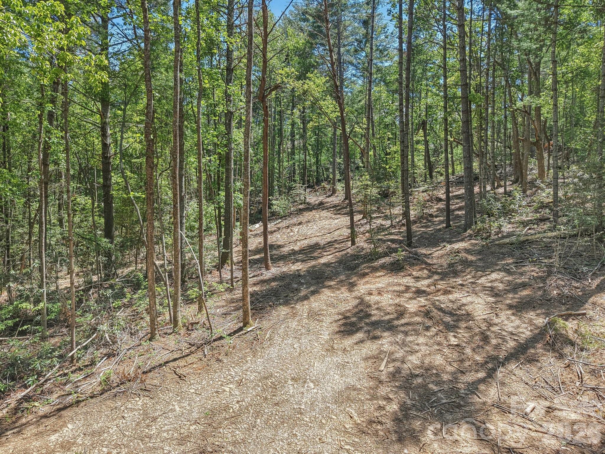 Ravenwood Estates - Land