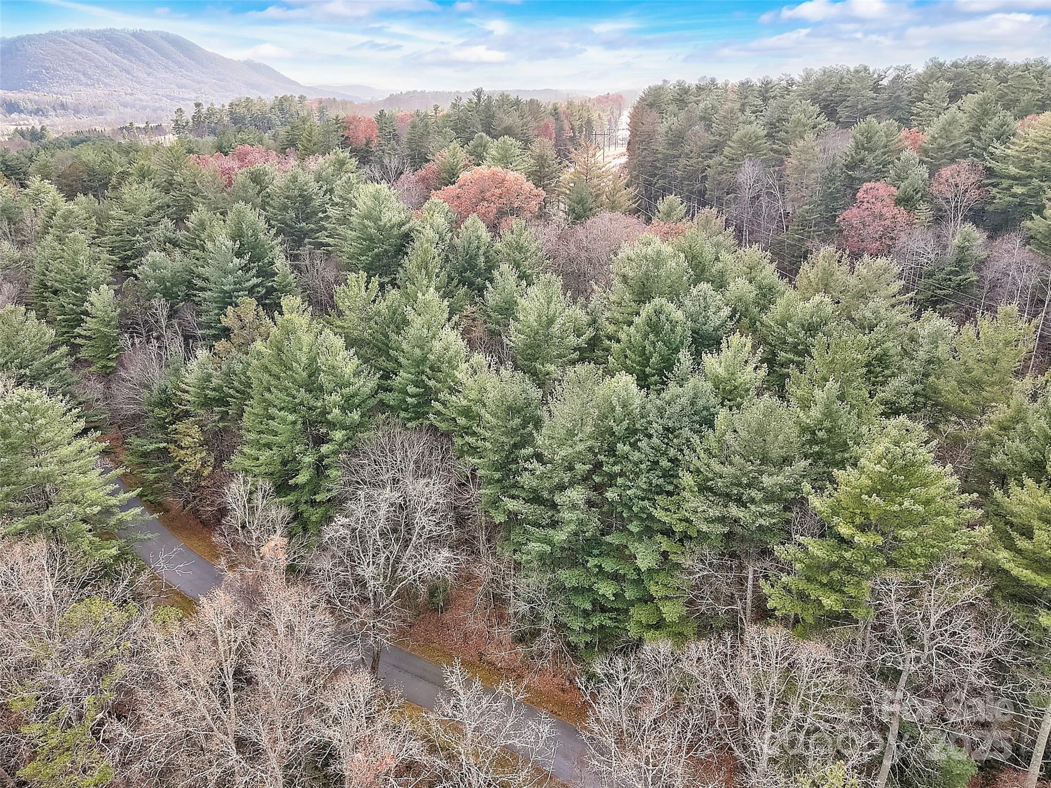 000 Ravenwood Drive 6