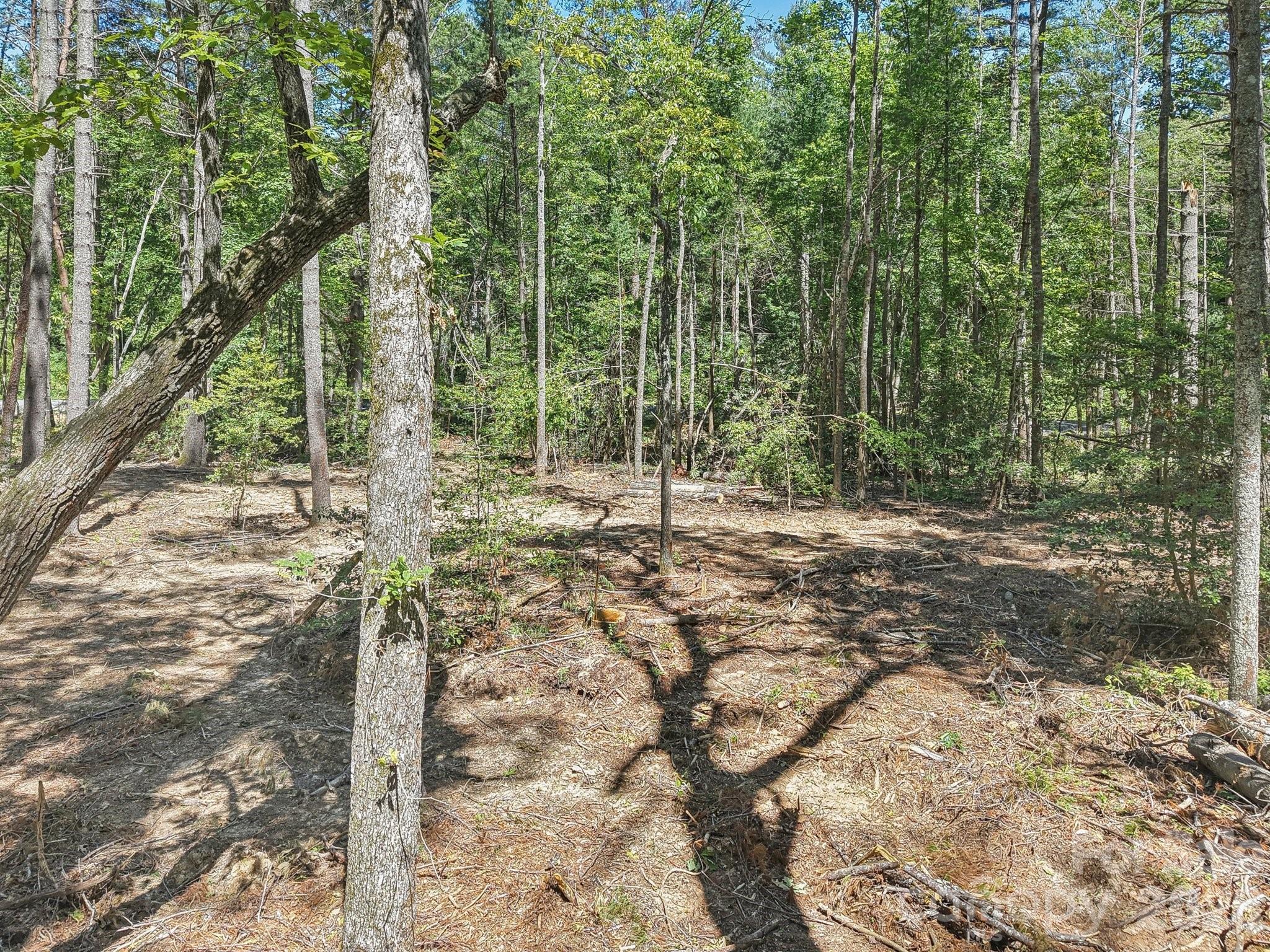 Ravenwood Estates - Land