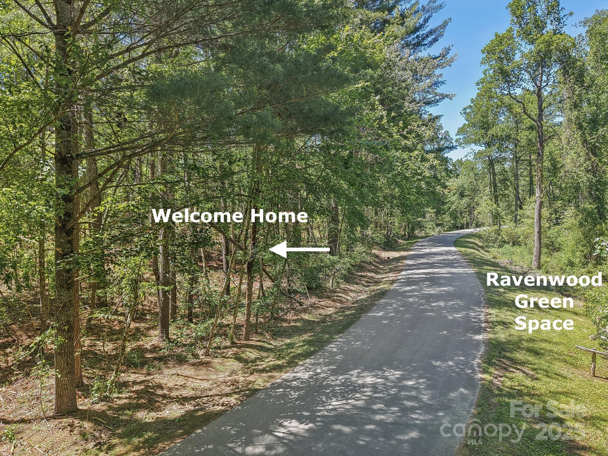 000 Ravenwood Drive 6