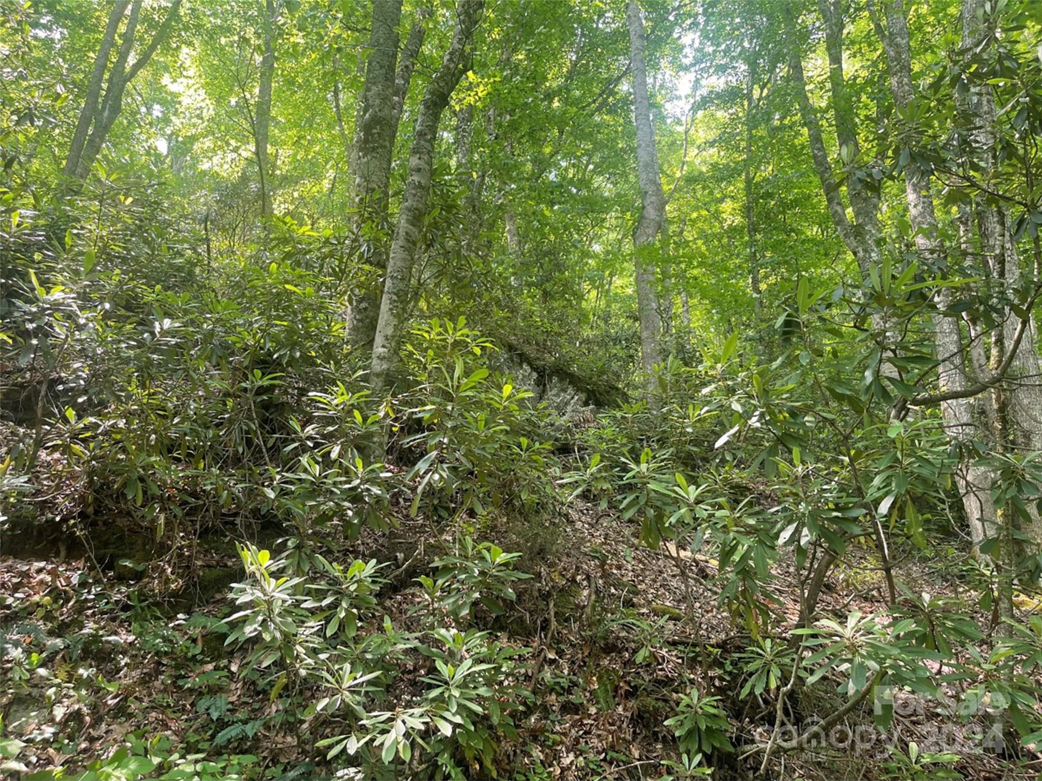 Shoot Out Mountain - Land